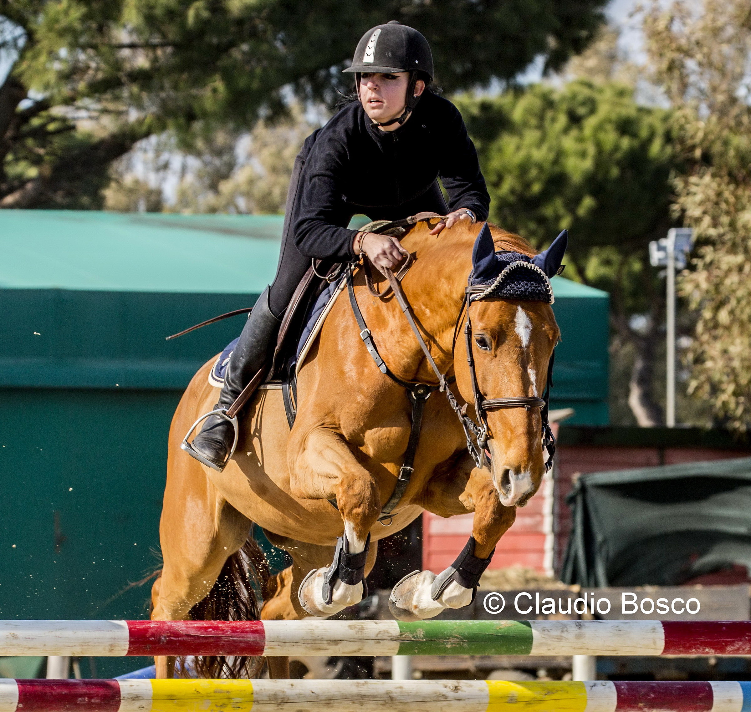 Amore di Papà, mia figlia Ele su Qomik, cm 130