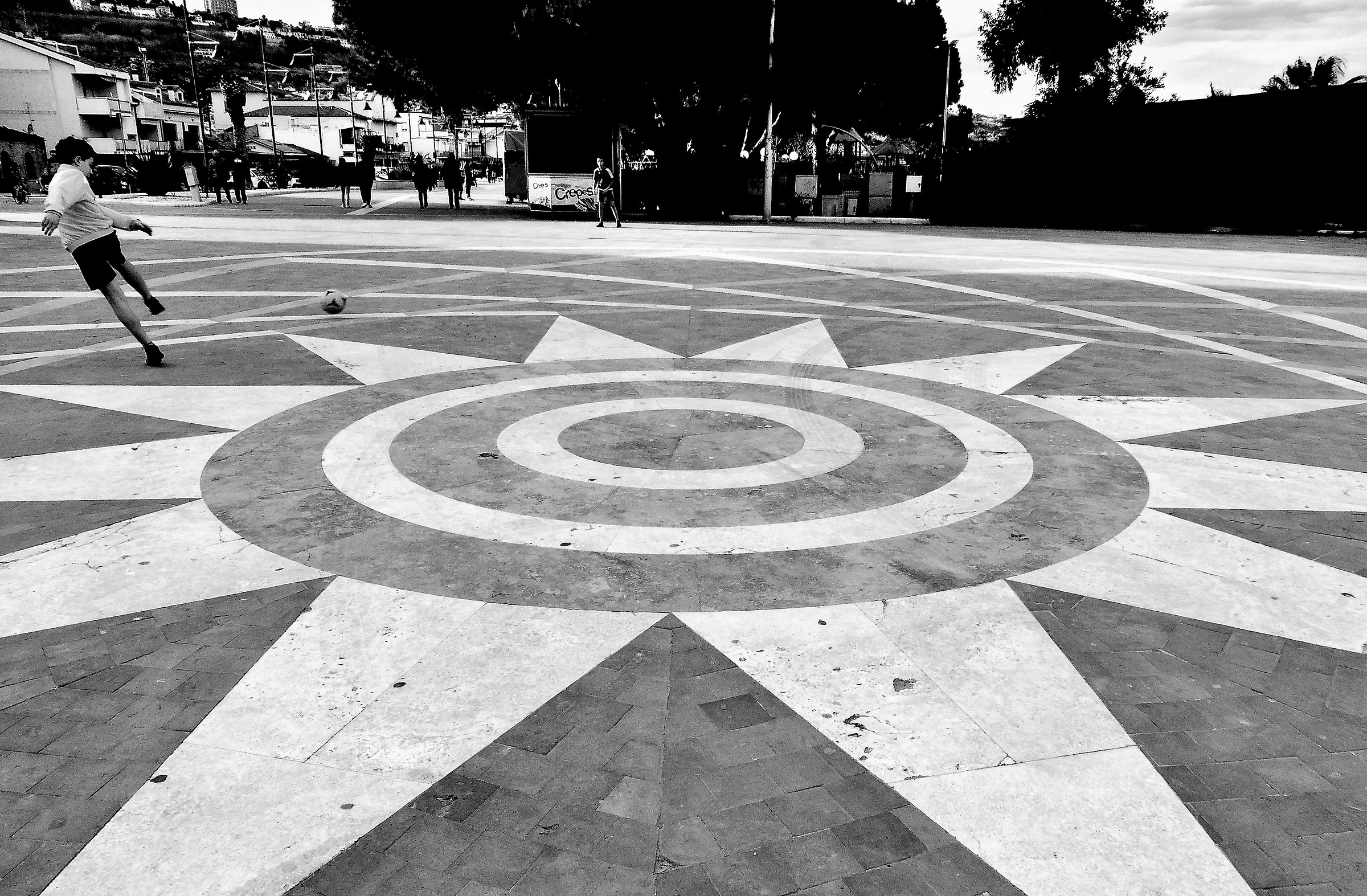 In the Rose of the Owners