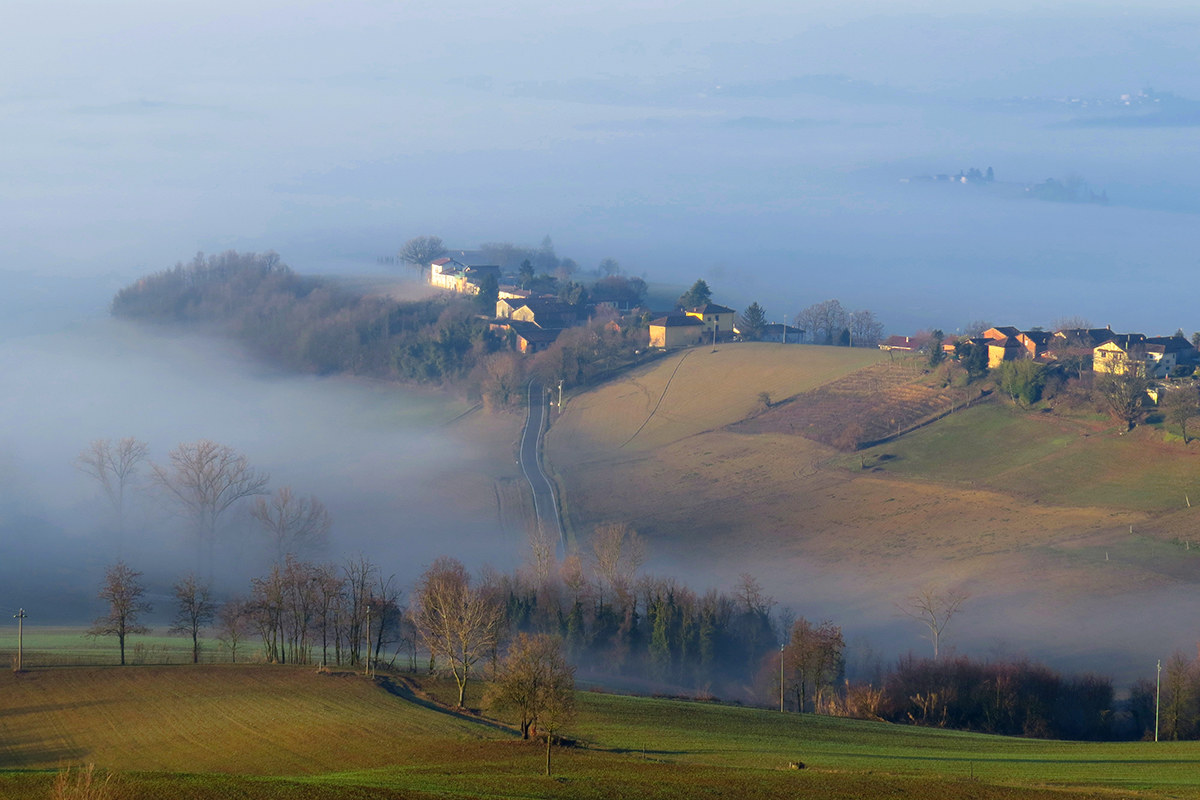 Alto Monferrato - dawn