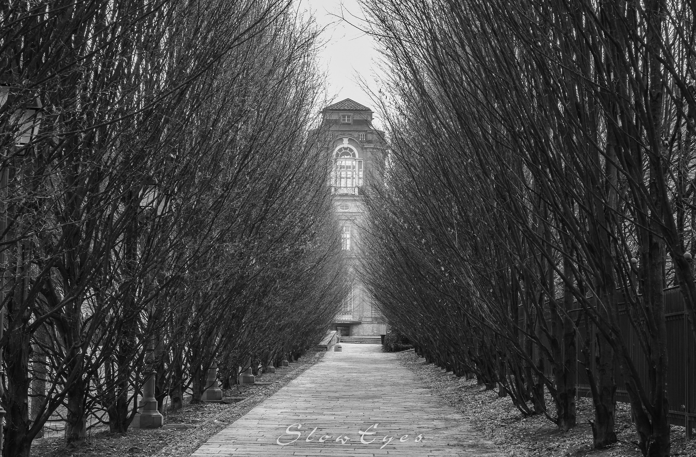 towards the Royal Palace