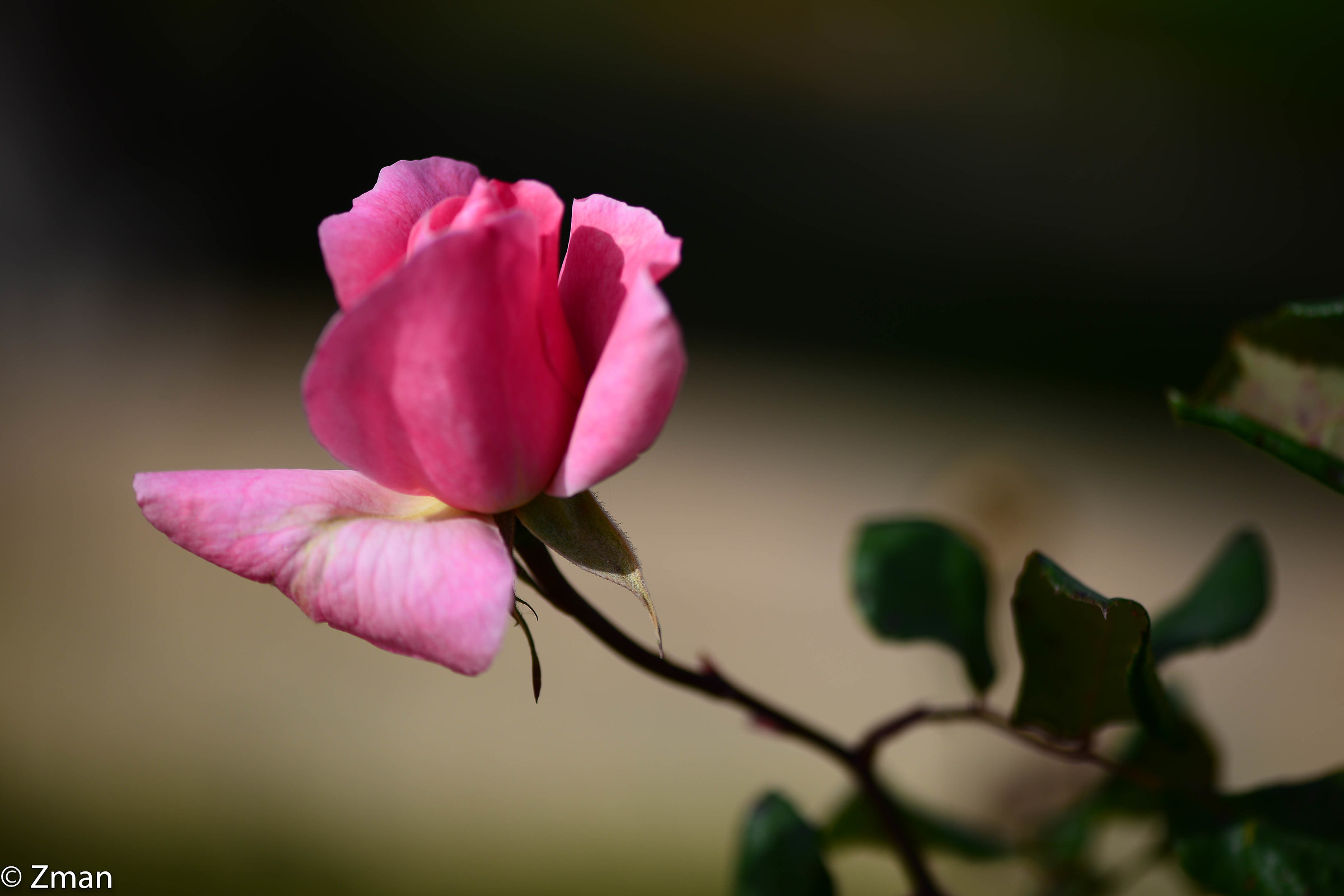 Buona Pasqua a tutti