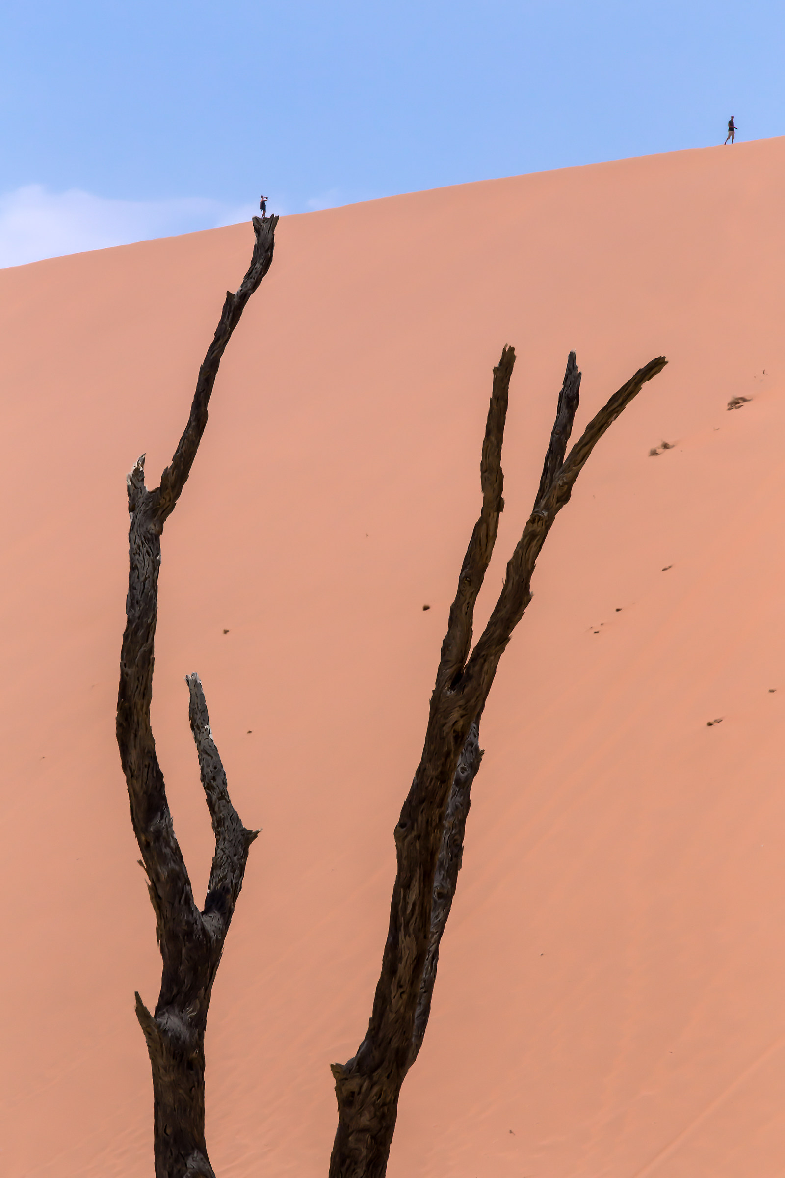 Deadvlei, Namibia, 2017.