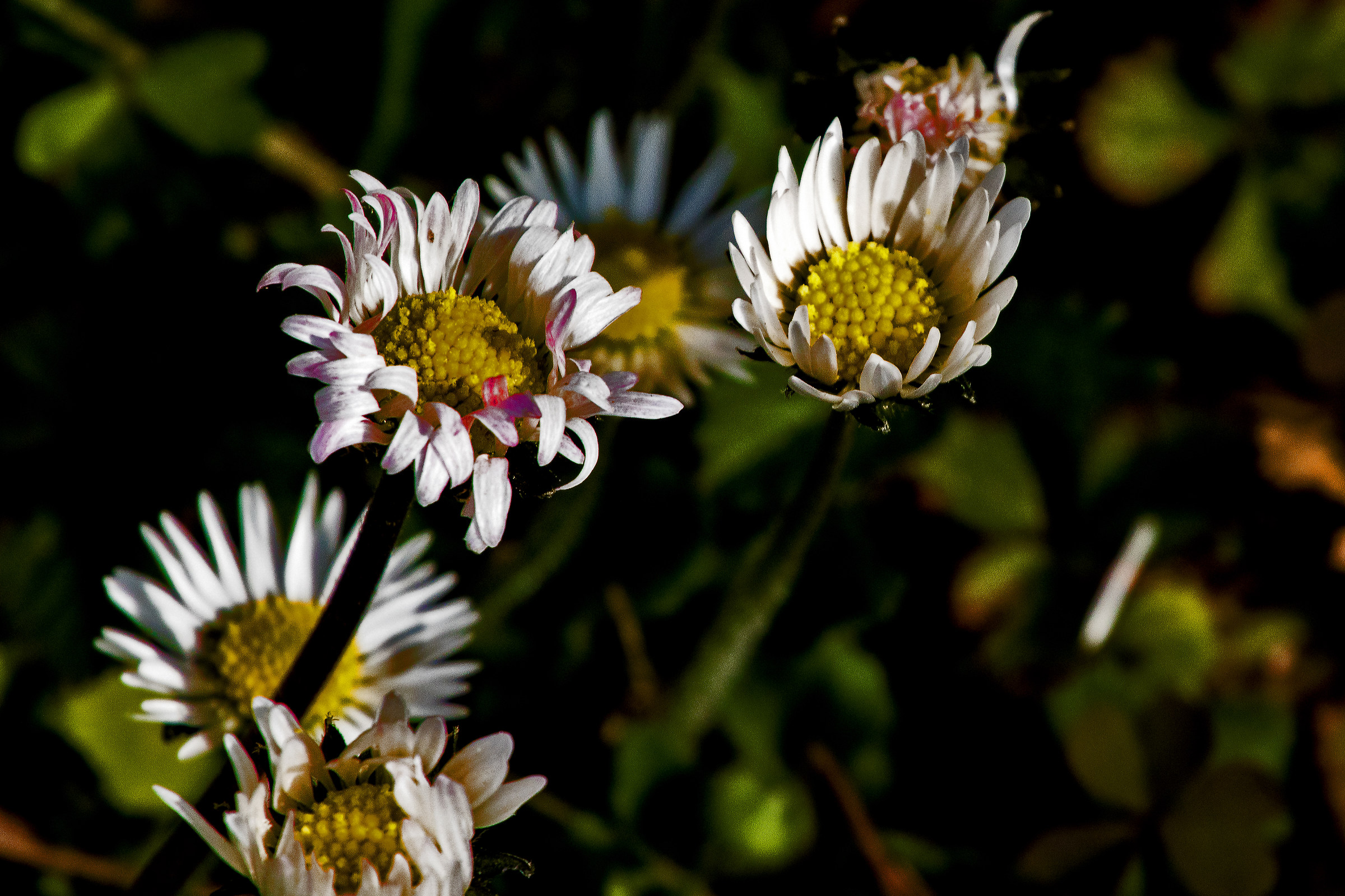 Family group in the exterior
