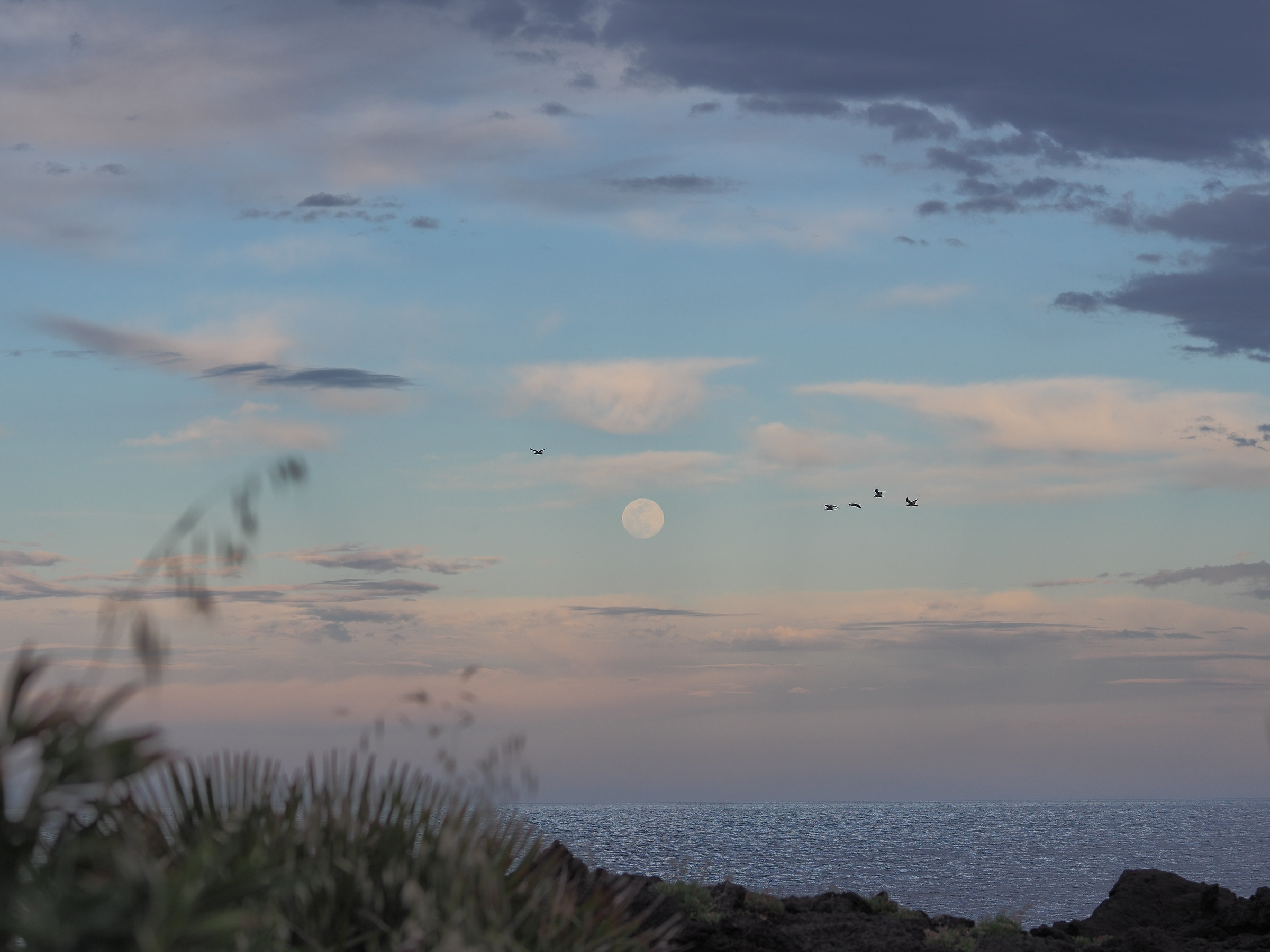 Off the beaten track