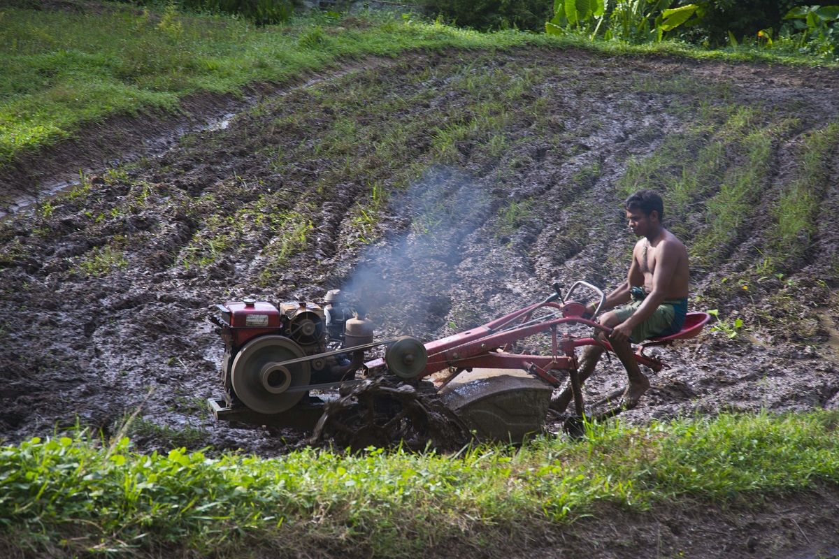 Labour in agriulture