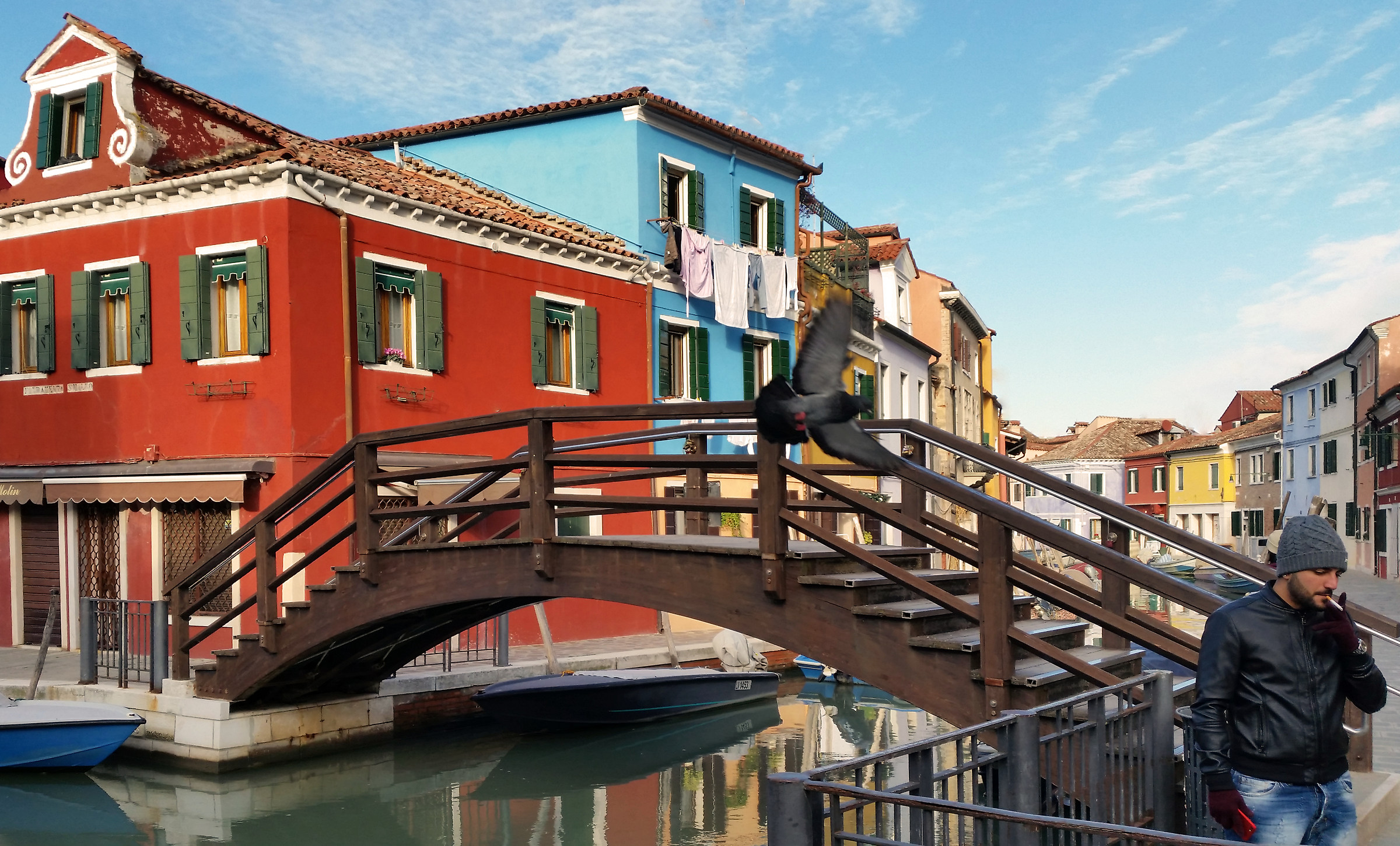 Il piccione impiccione