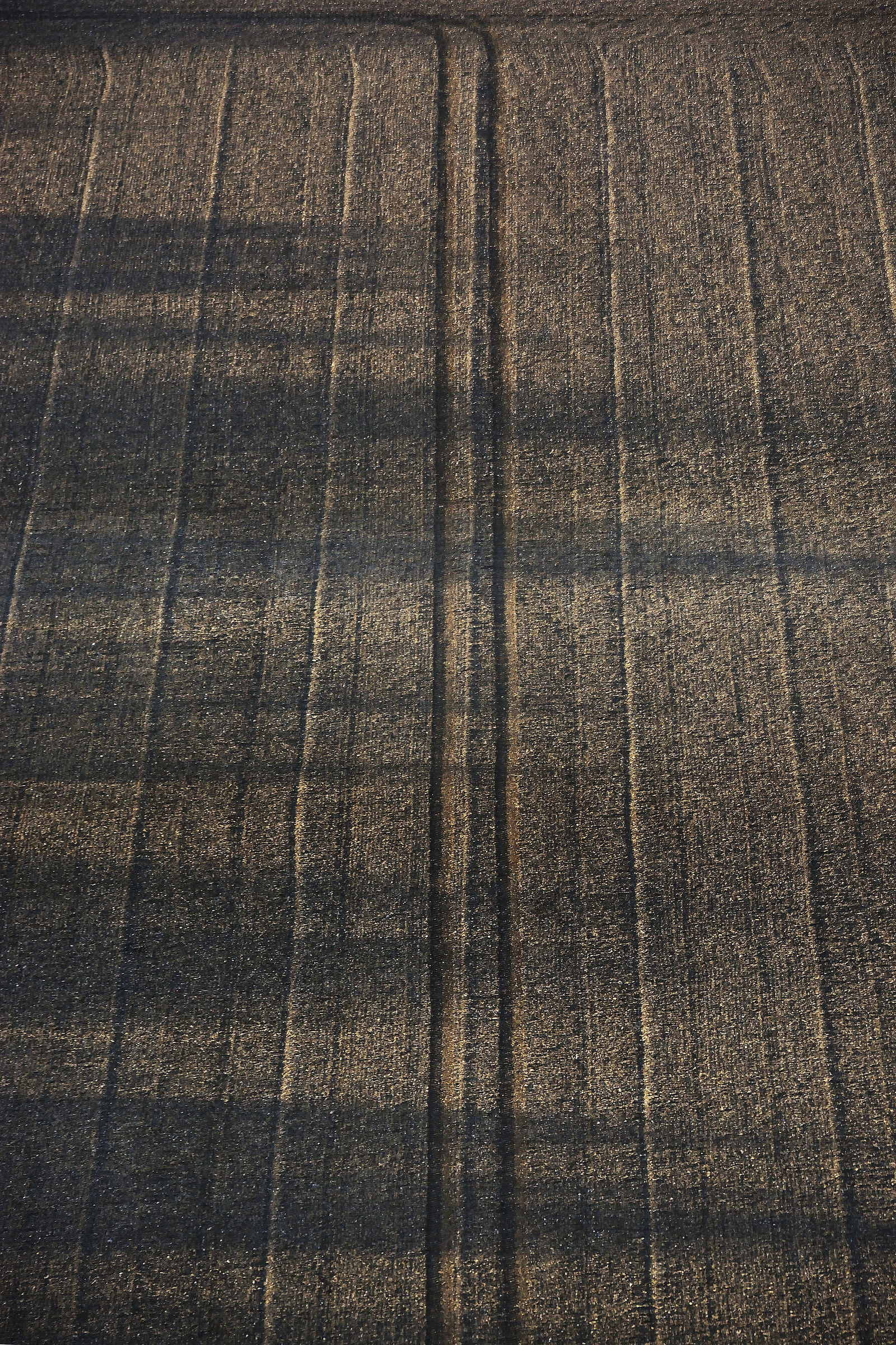 Fabric in the Fields - 3 'The Carpet'