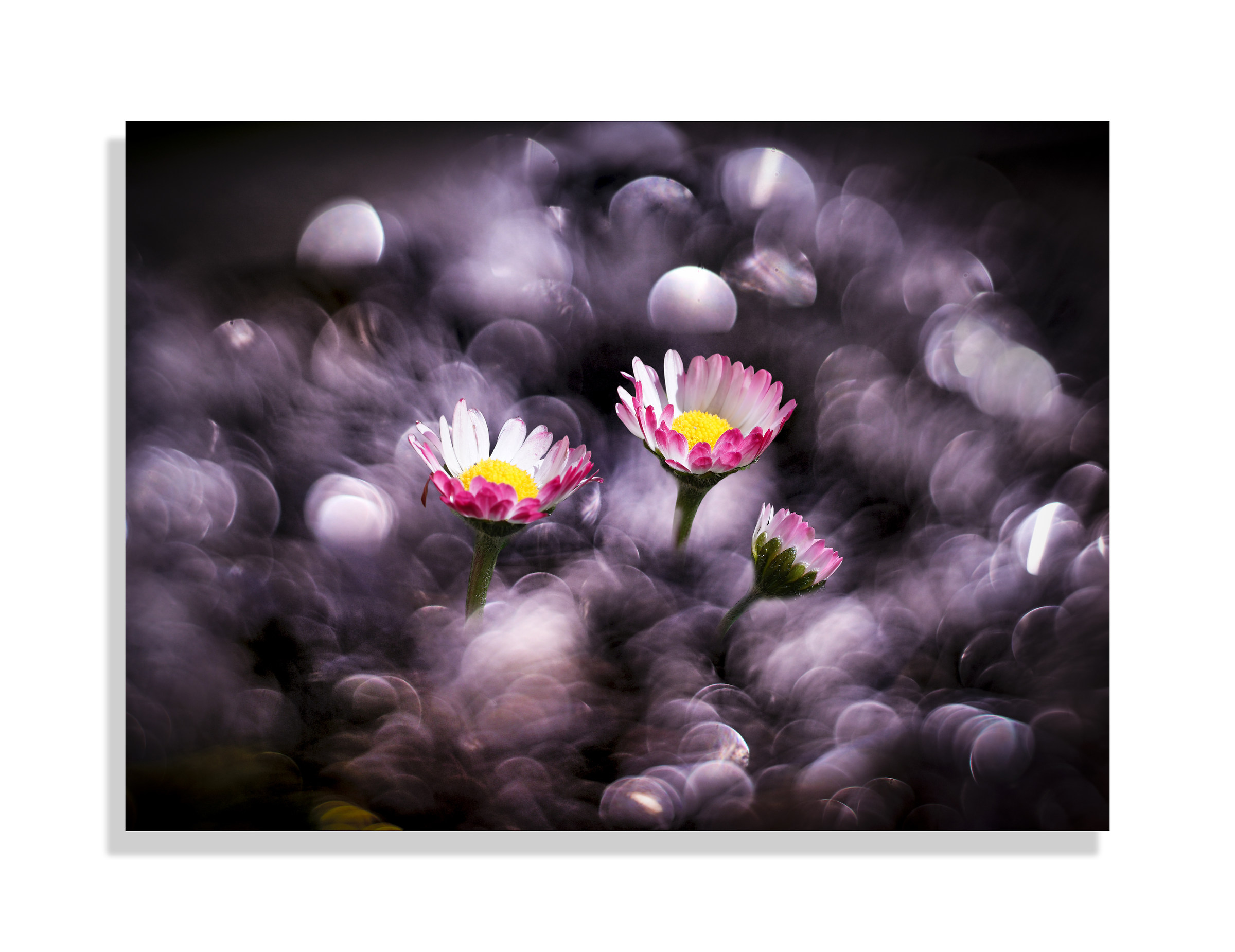 Humble and beautiful