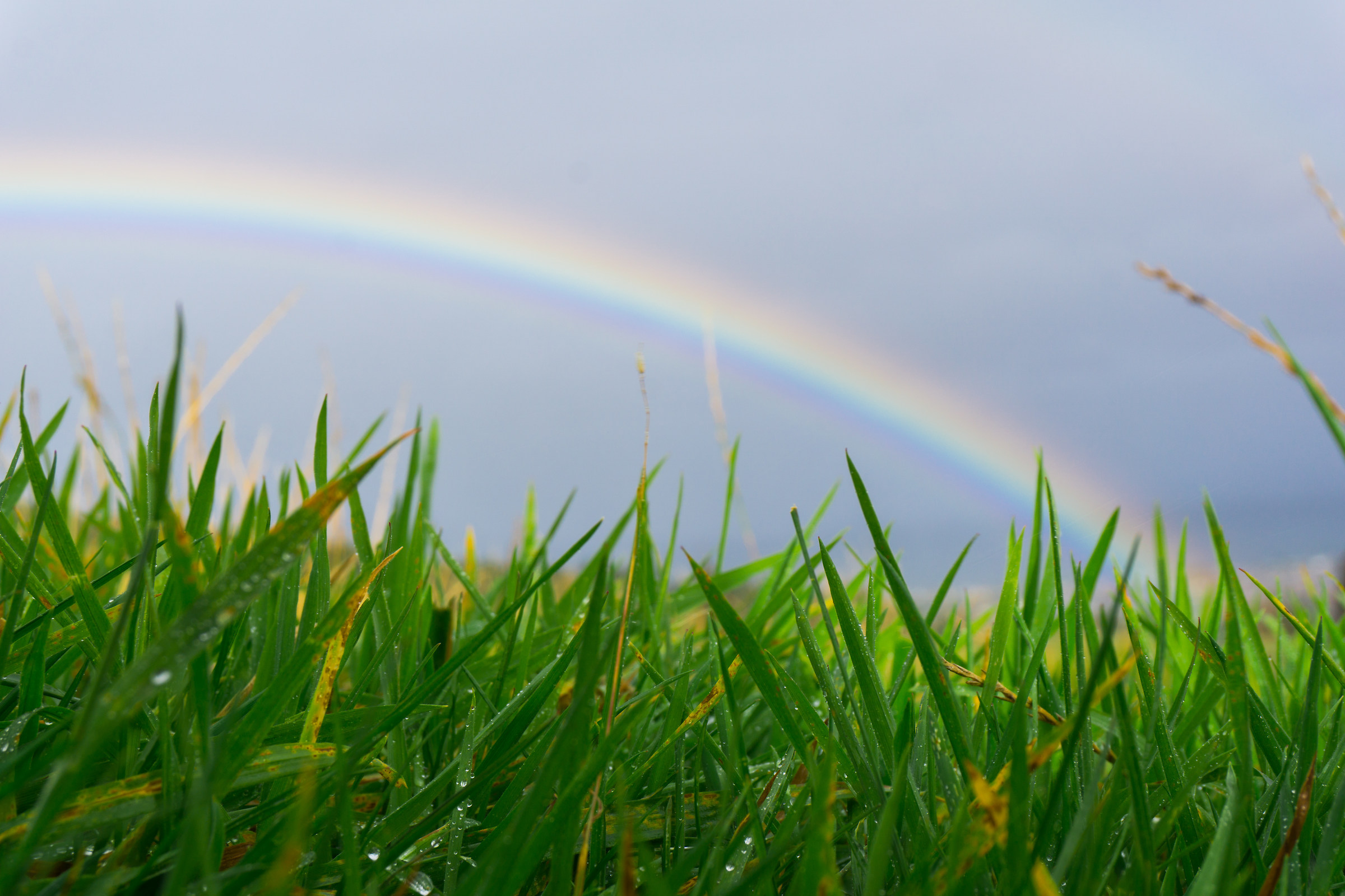 Da qualche parte sotto l'arcobaleno