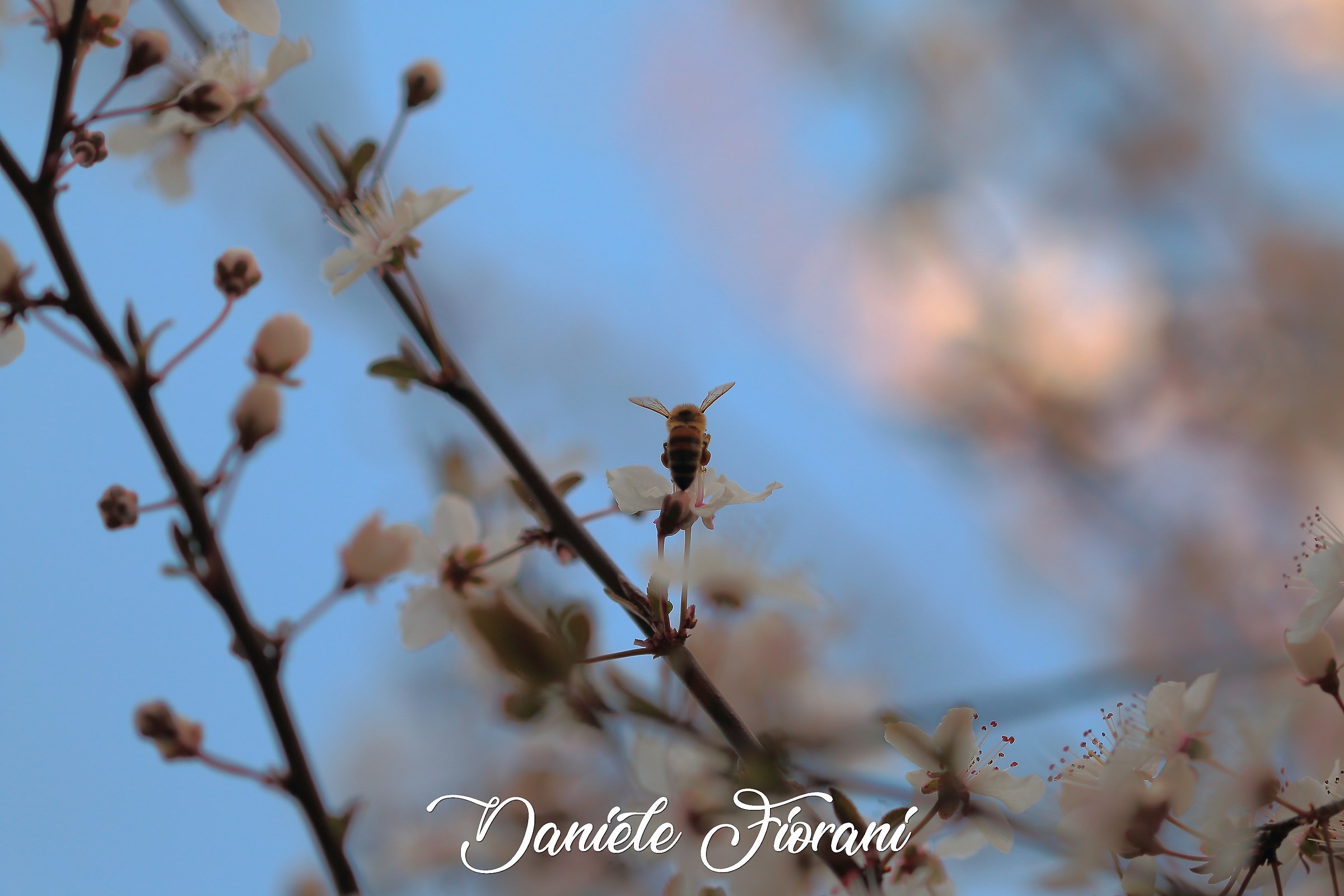 Finally spring ....?