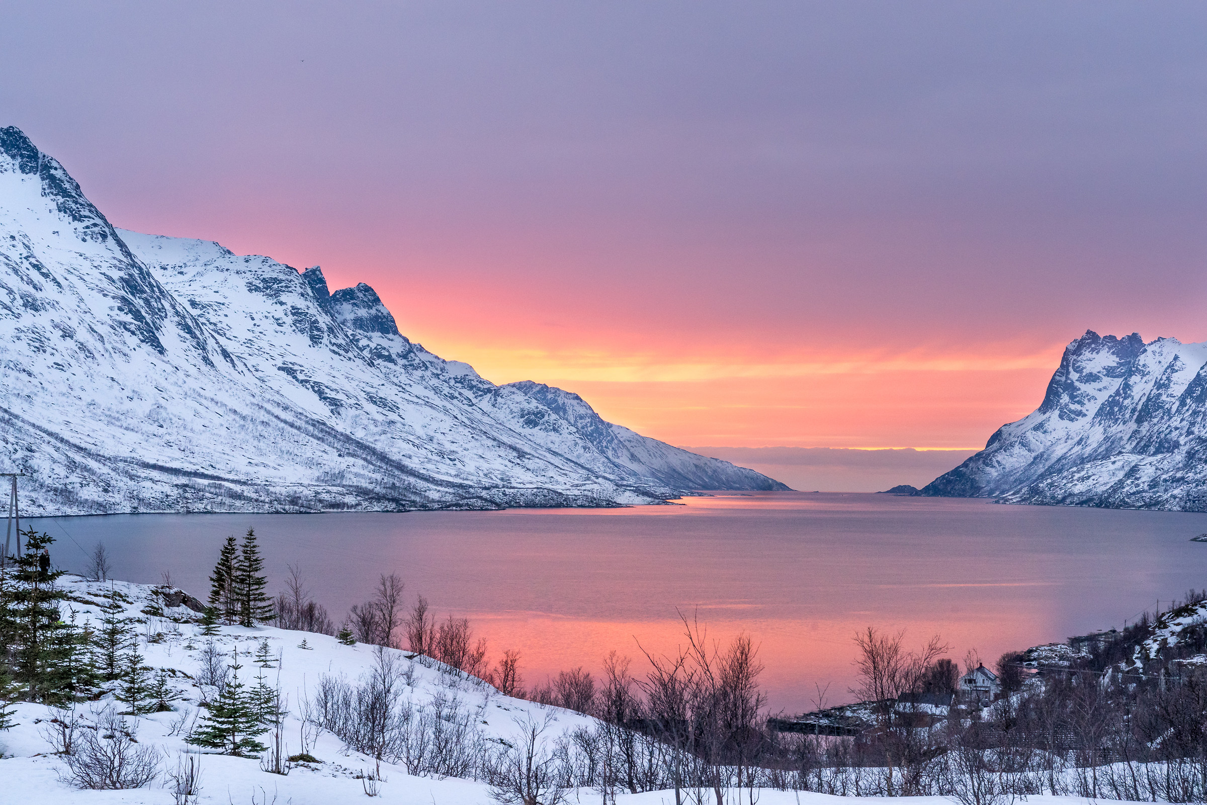 Pink fjords of peach fjords