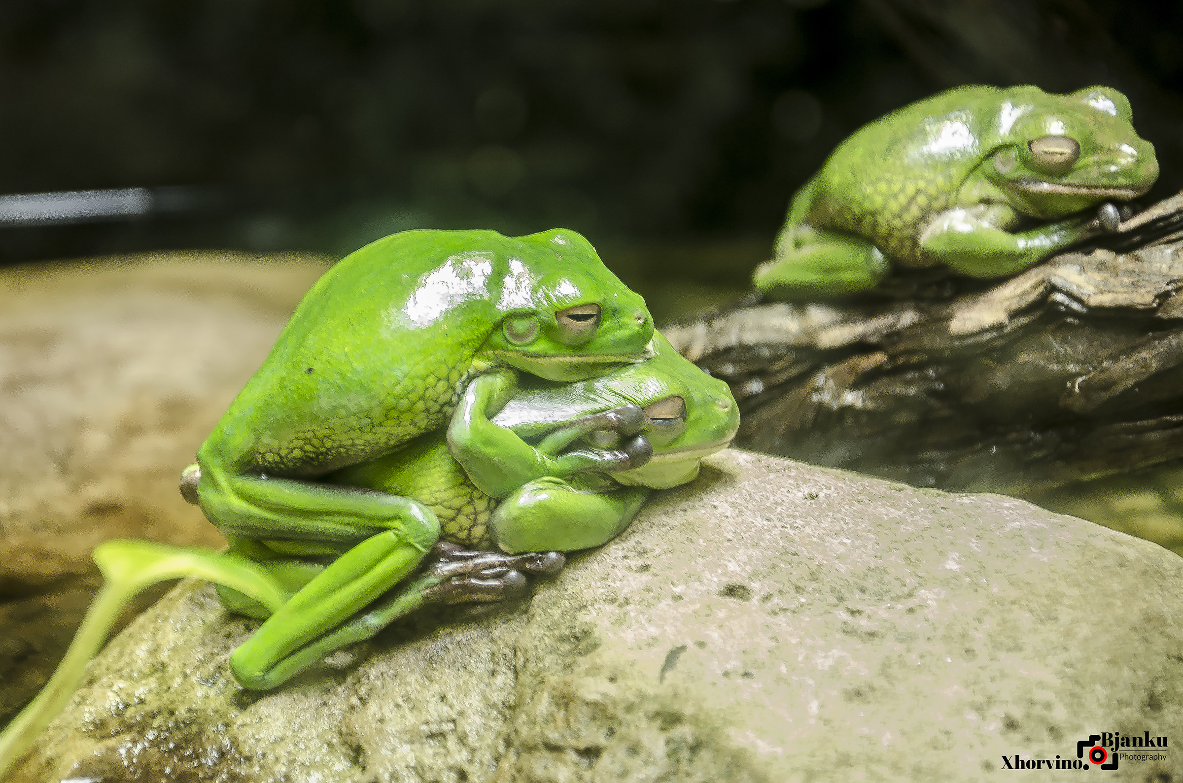 Moments of intimacy!