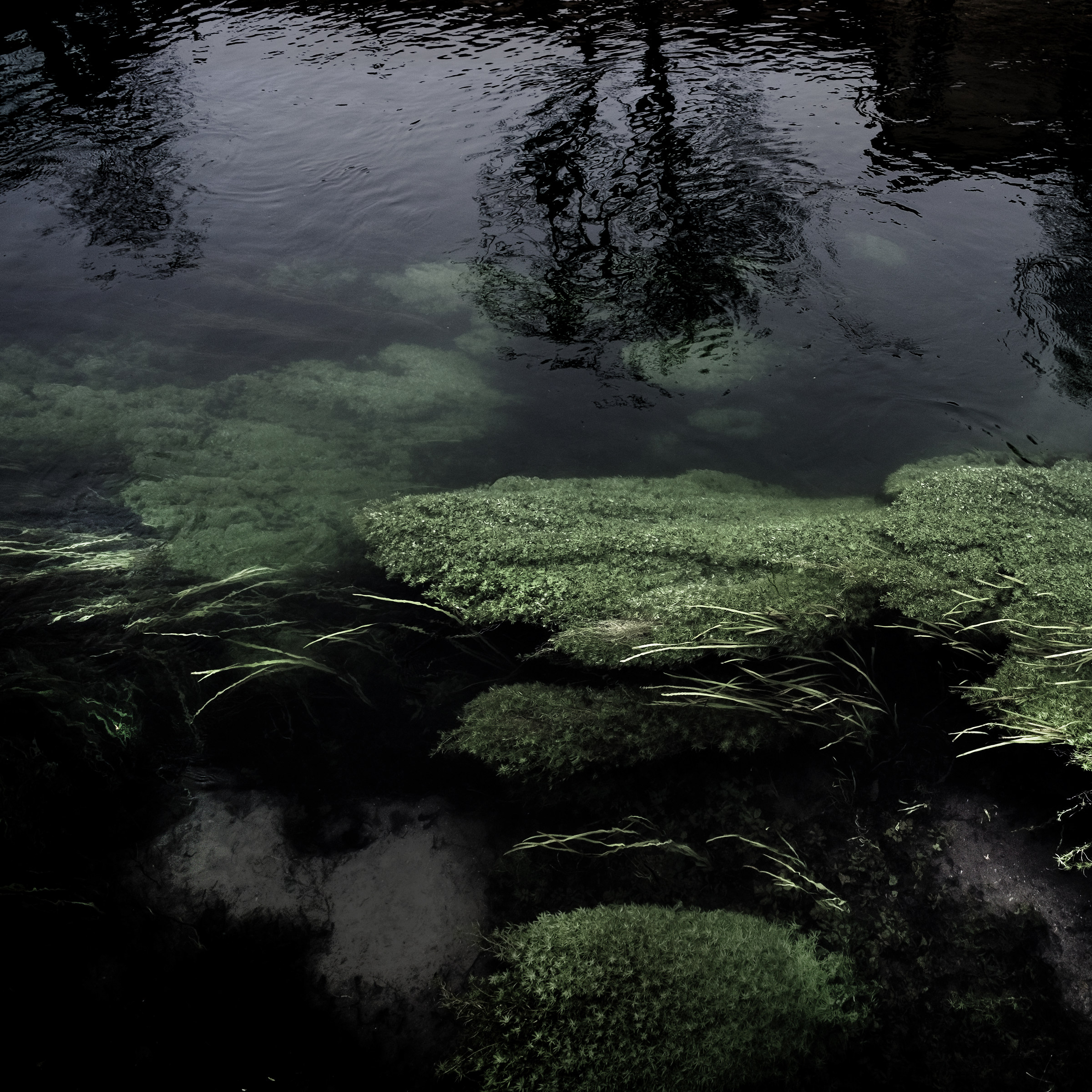 the river flows slowly