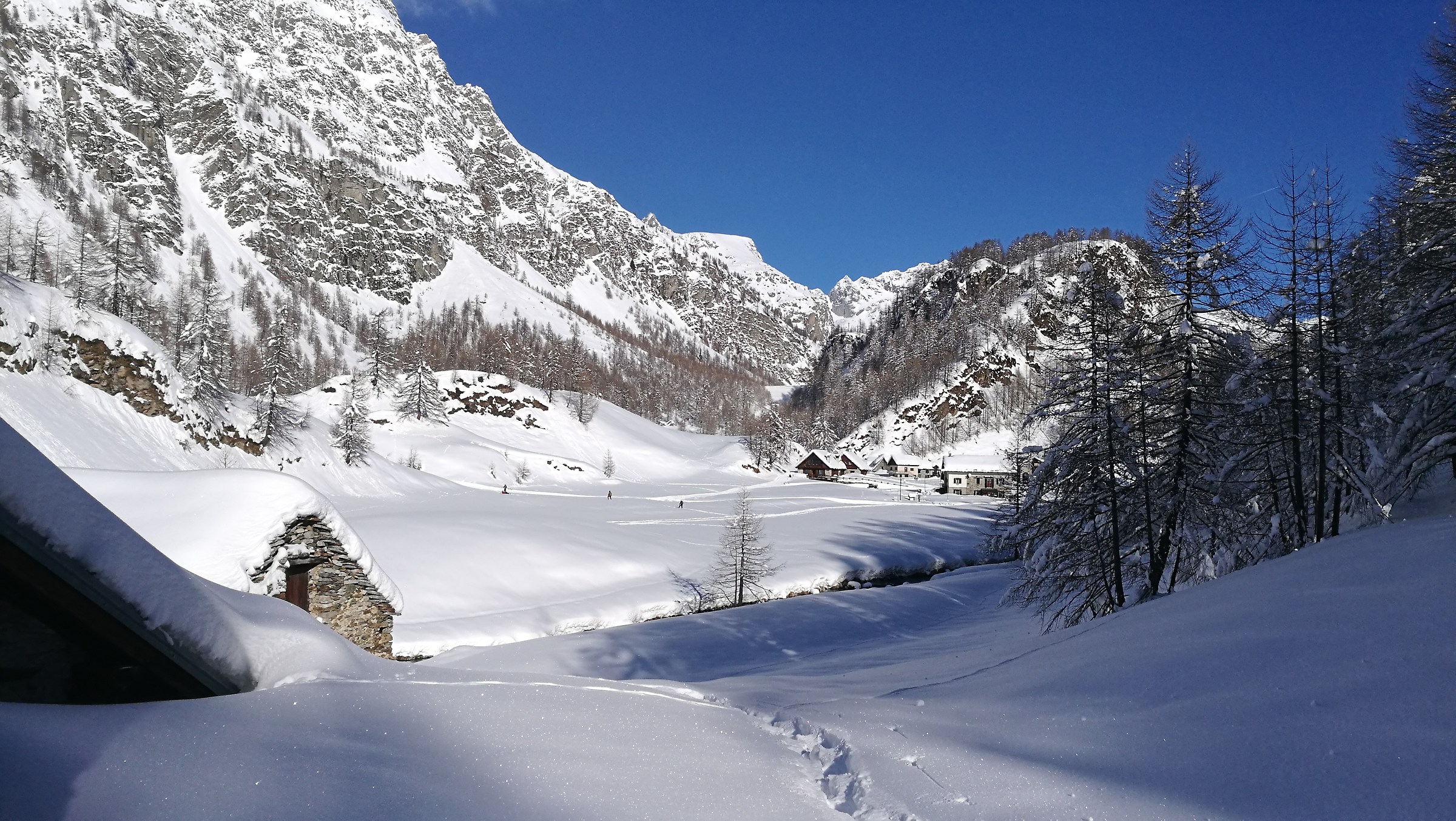 the wonderful Devero alp