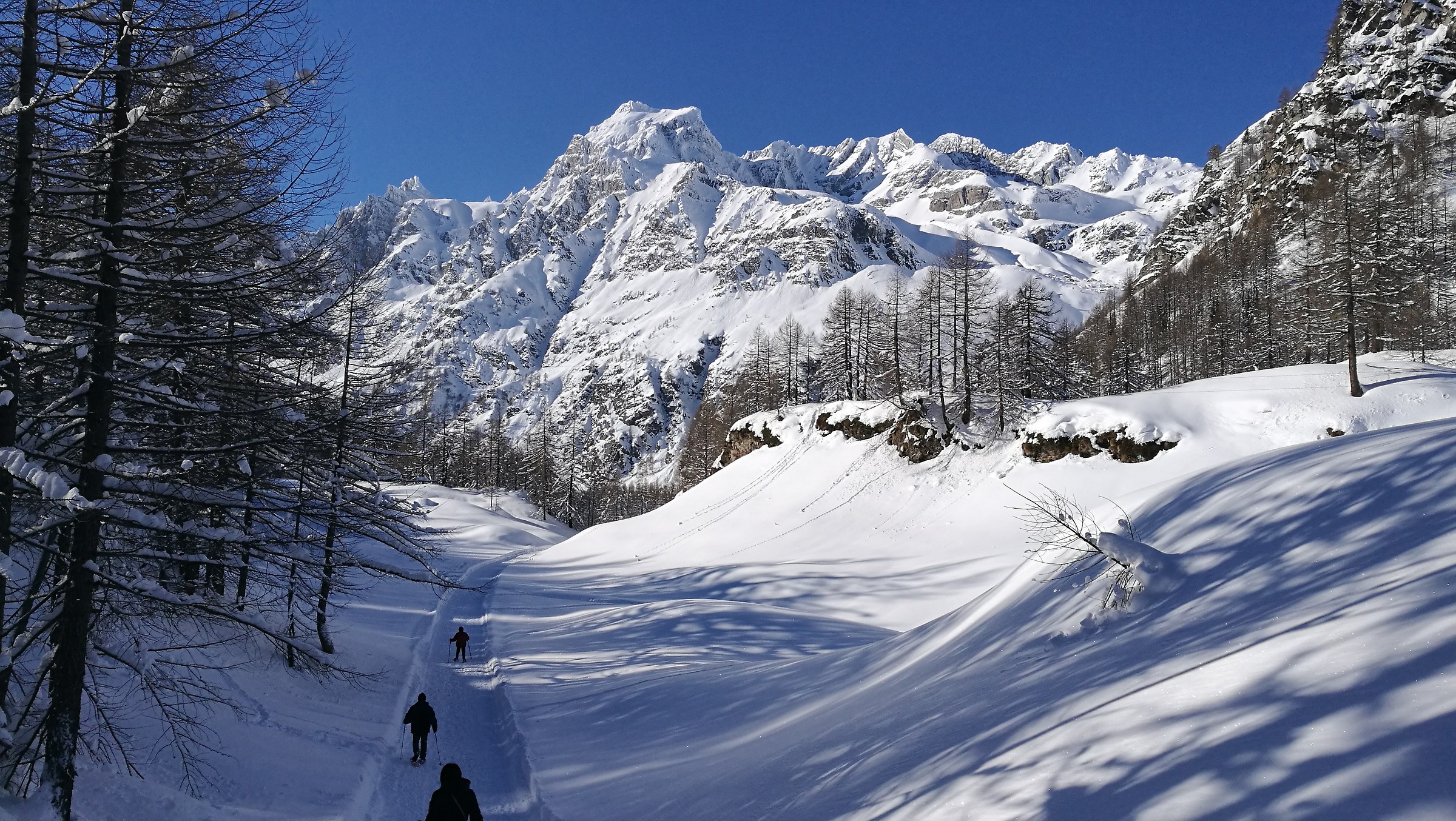 the wonderful Devero alp