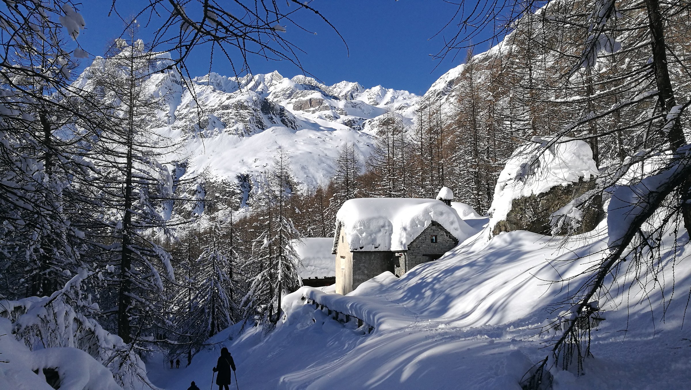 the wonderful Devero alp