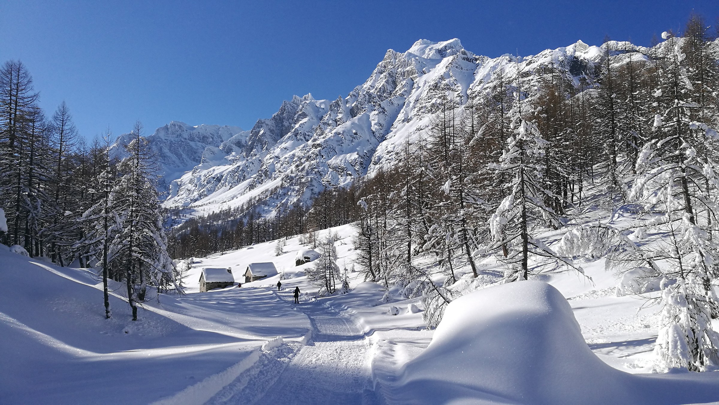 the wonderful Devero alp