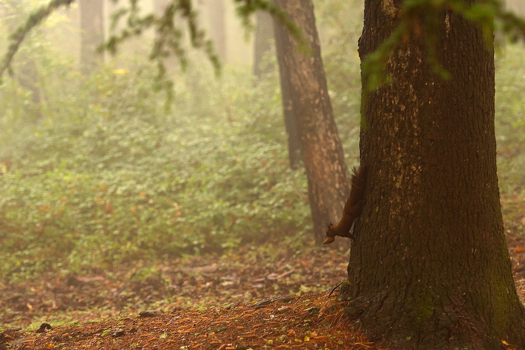 Toccata e fuga...uno scatto fortuito!!