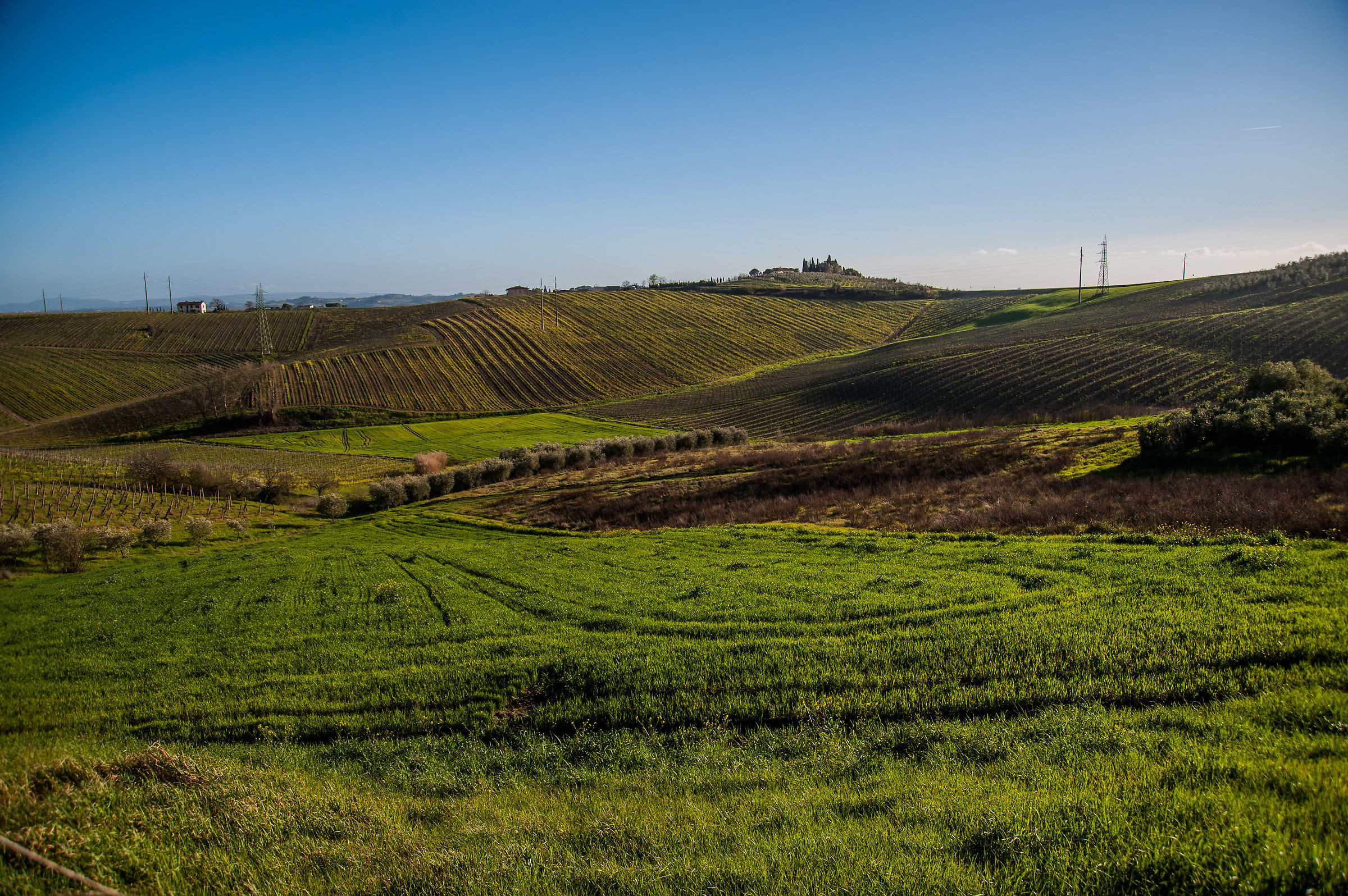 Colline Toscane