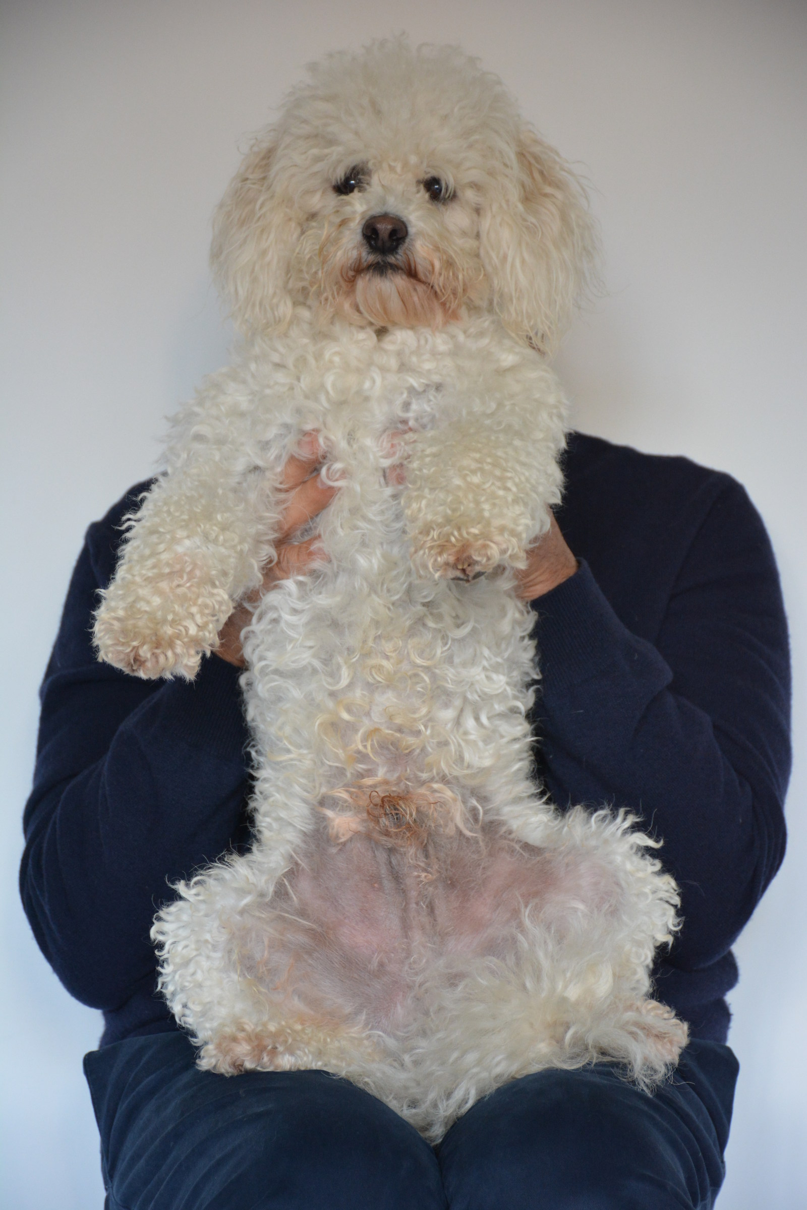 omaggio a elliott  erwitt