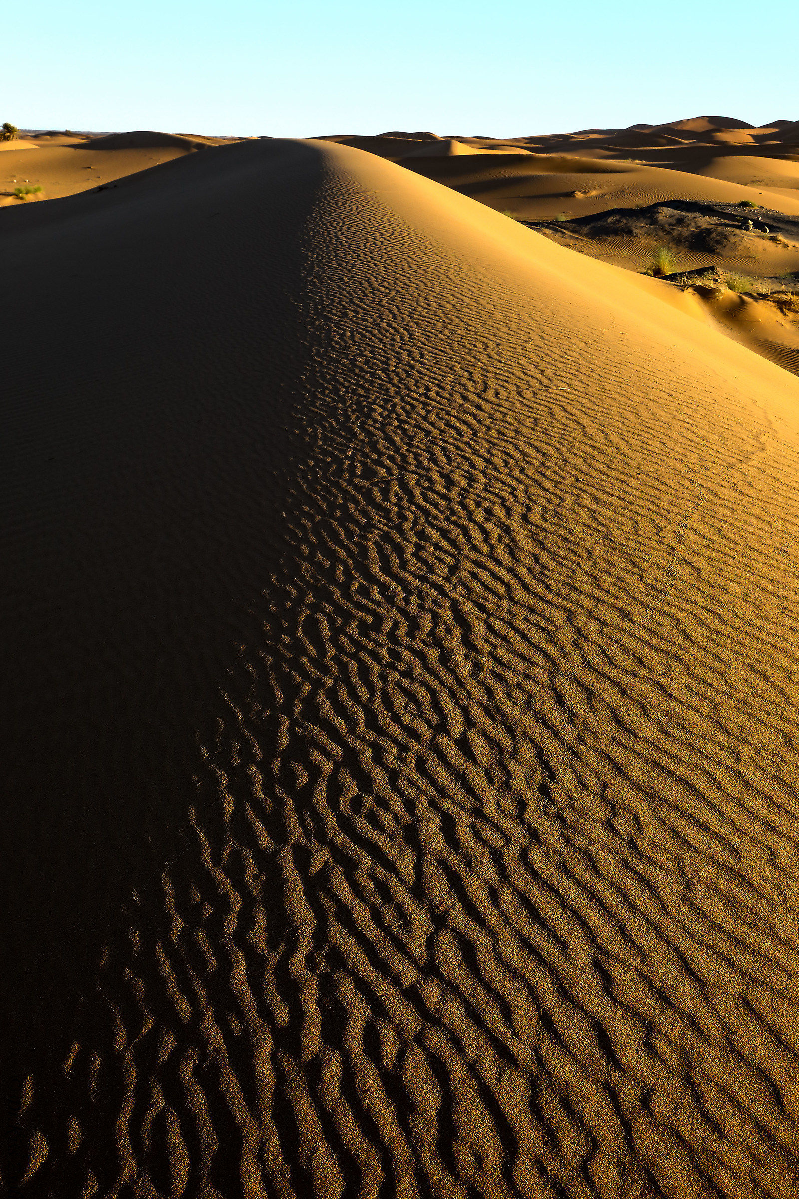 Erg Chebbi dunes at sunrise