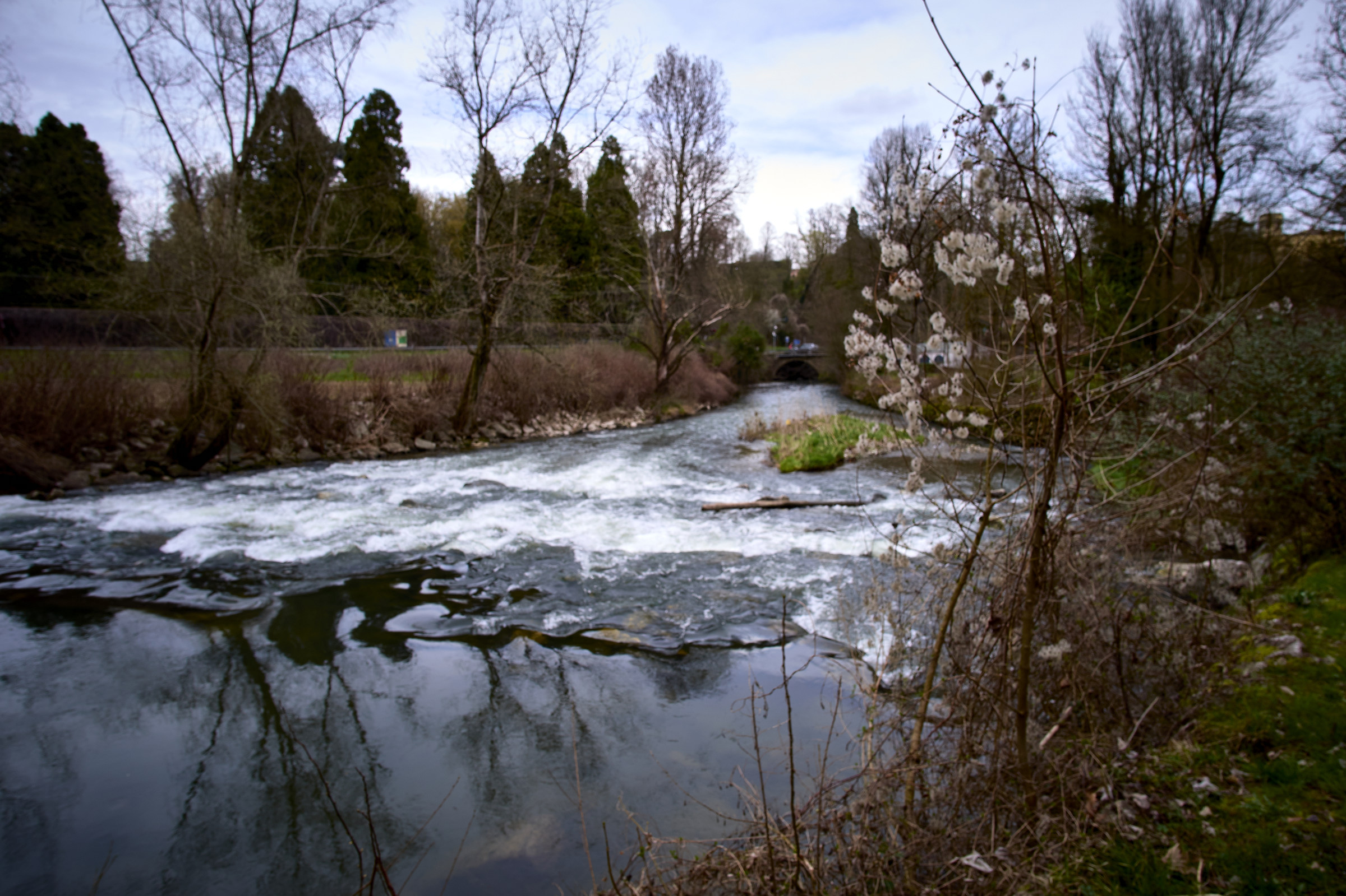 fiume Lambro in località Canonica Triuggio