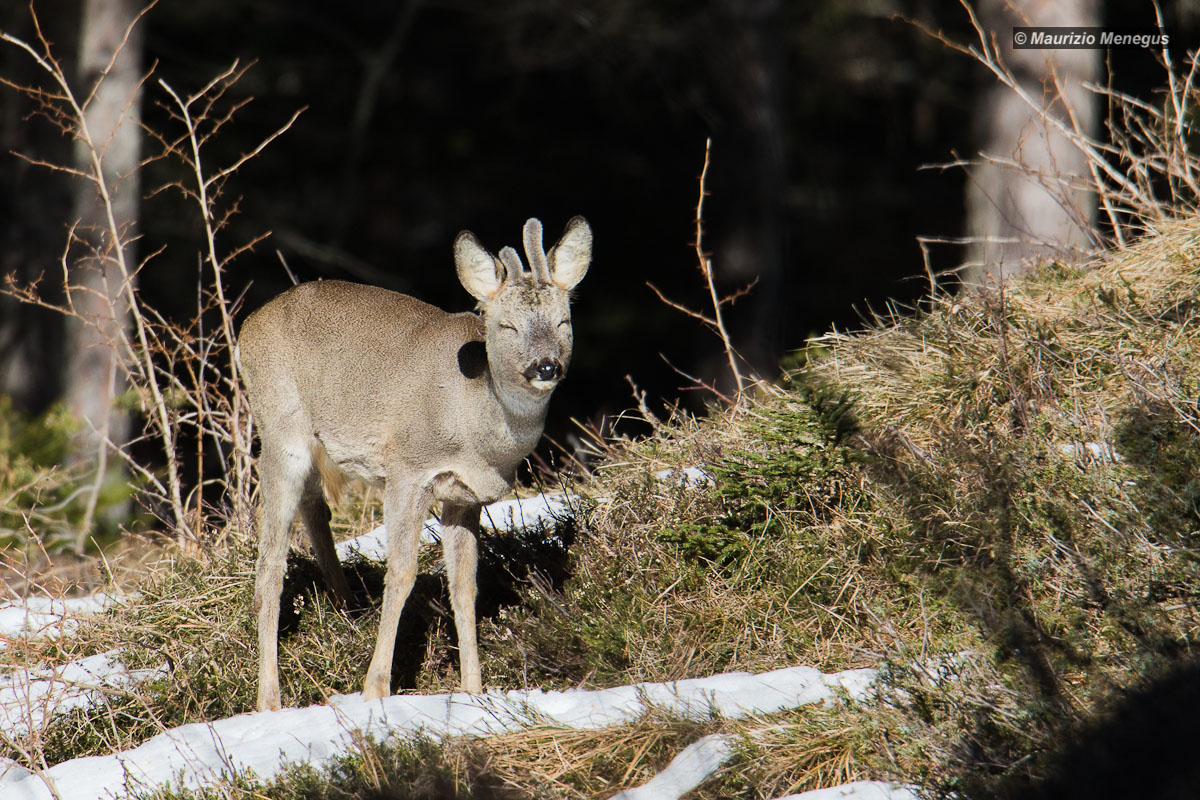 It would take the sunglasses .....