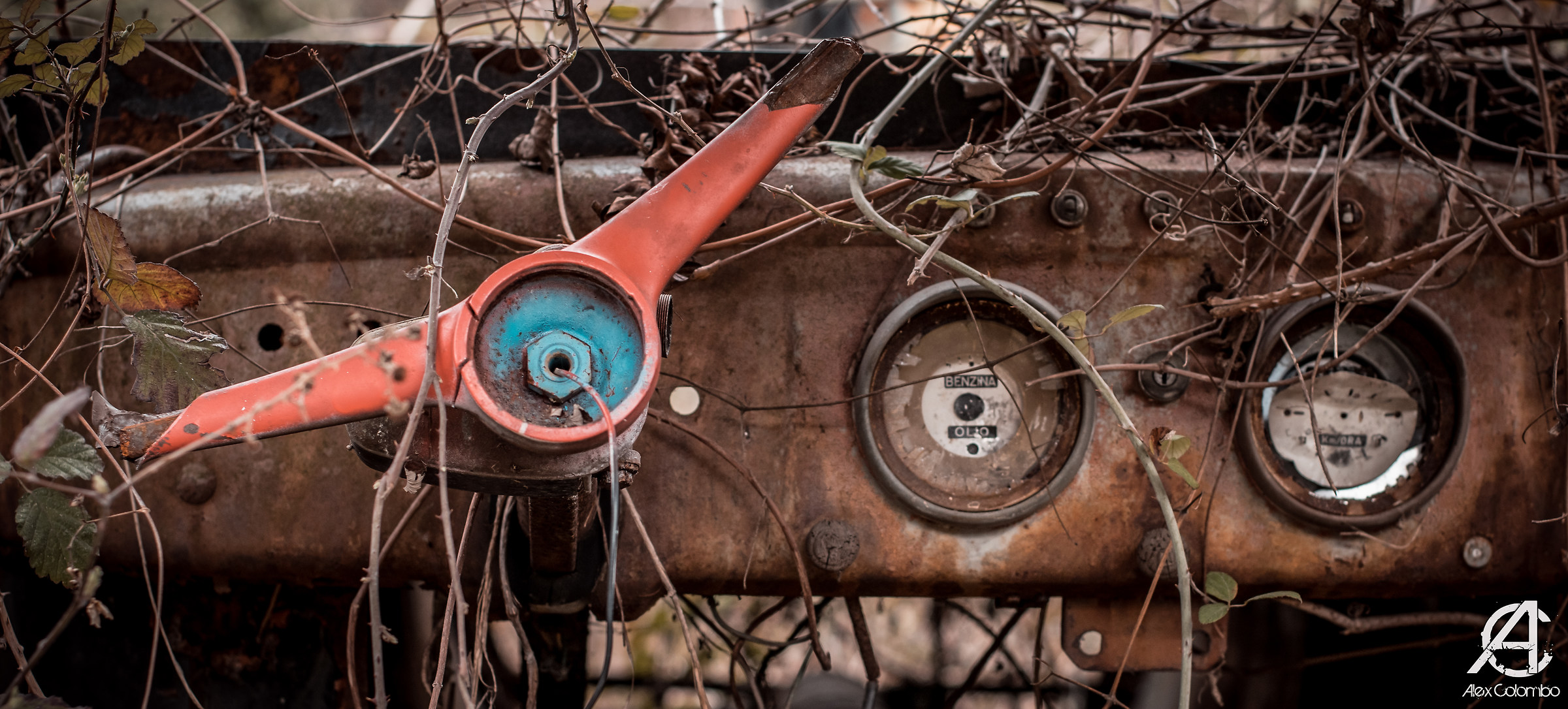 Consonno - Locomotive (detail)