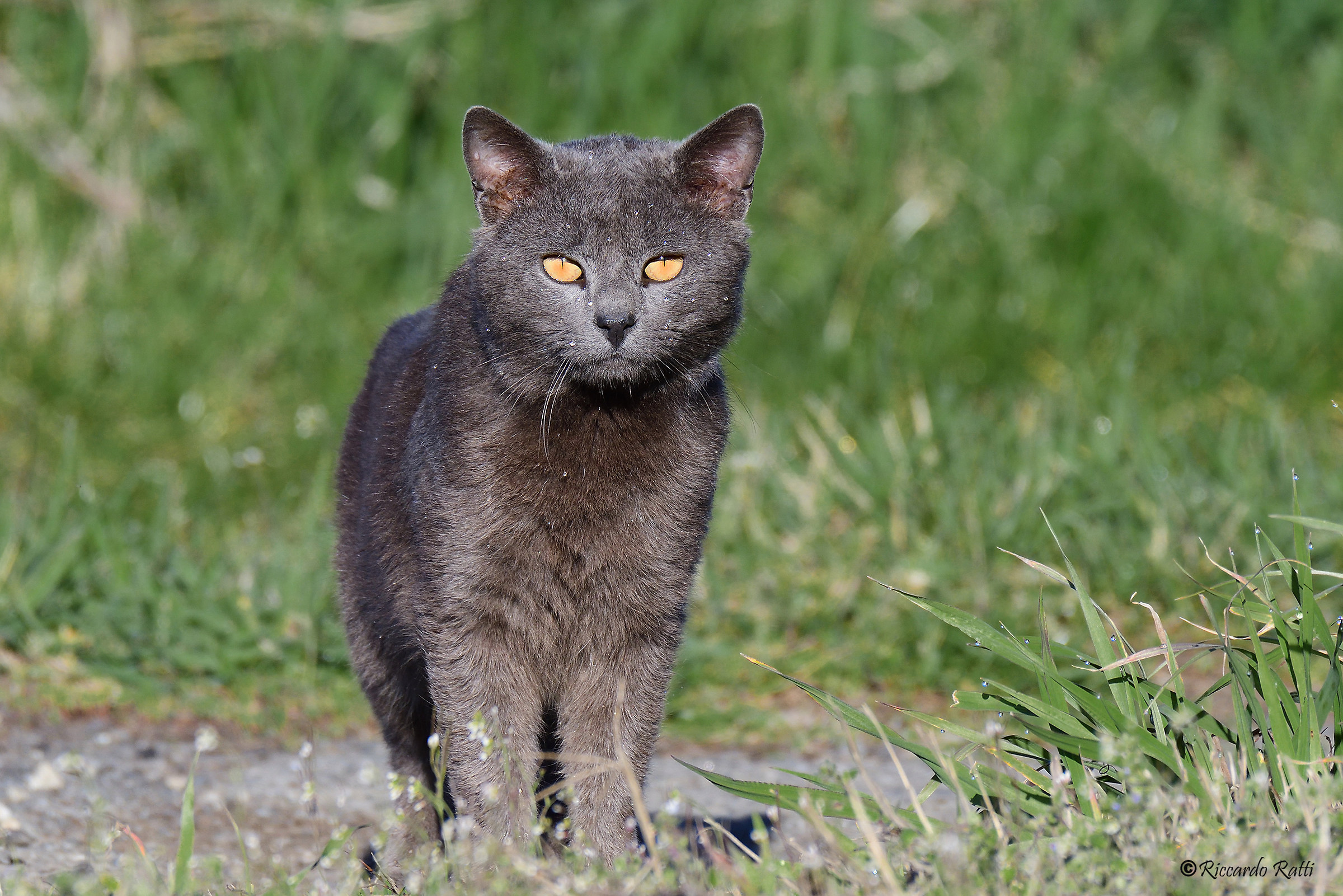 Back from a good night