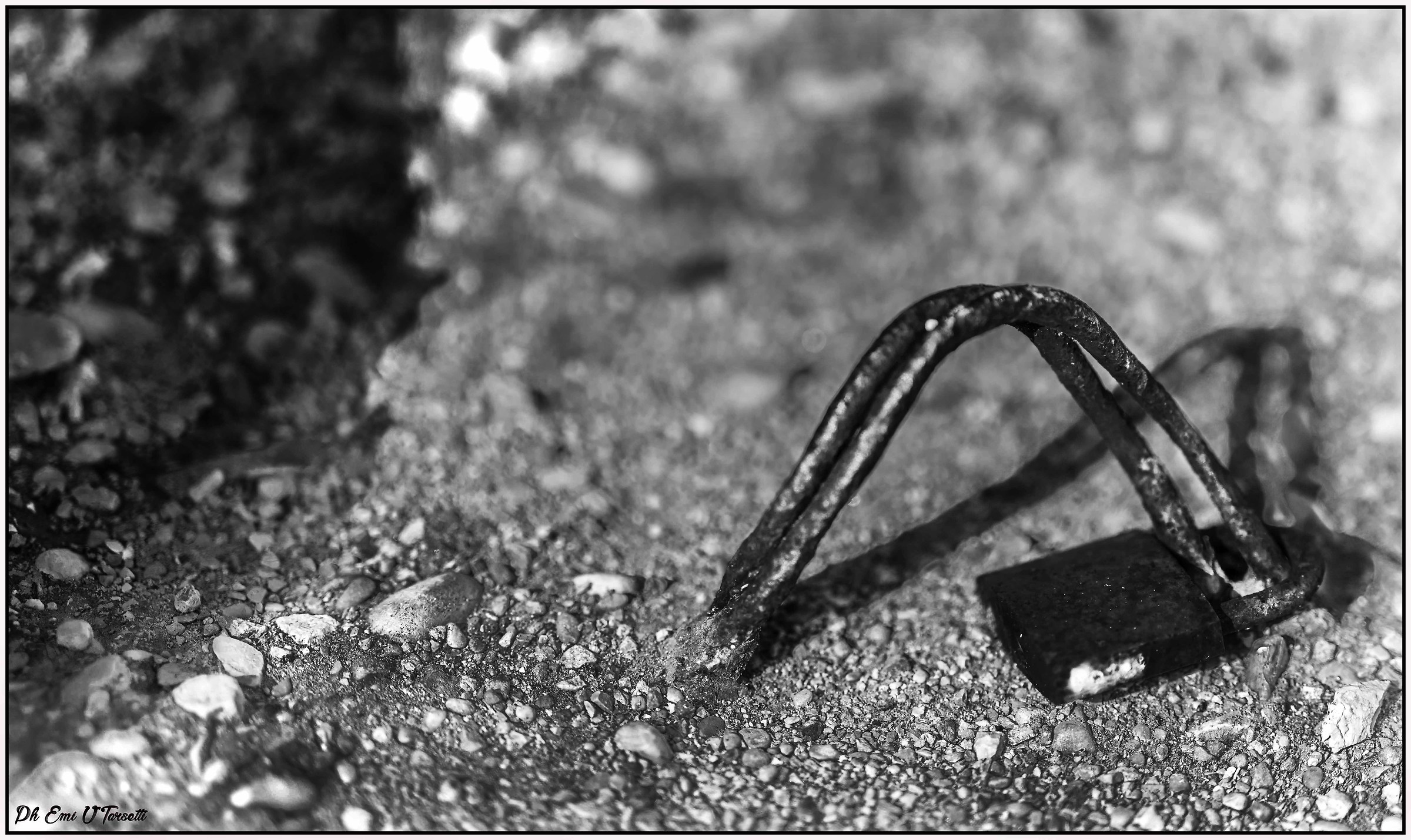 Forever united ....!