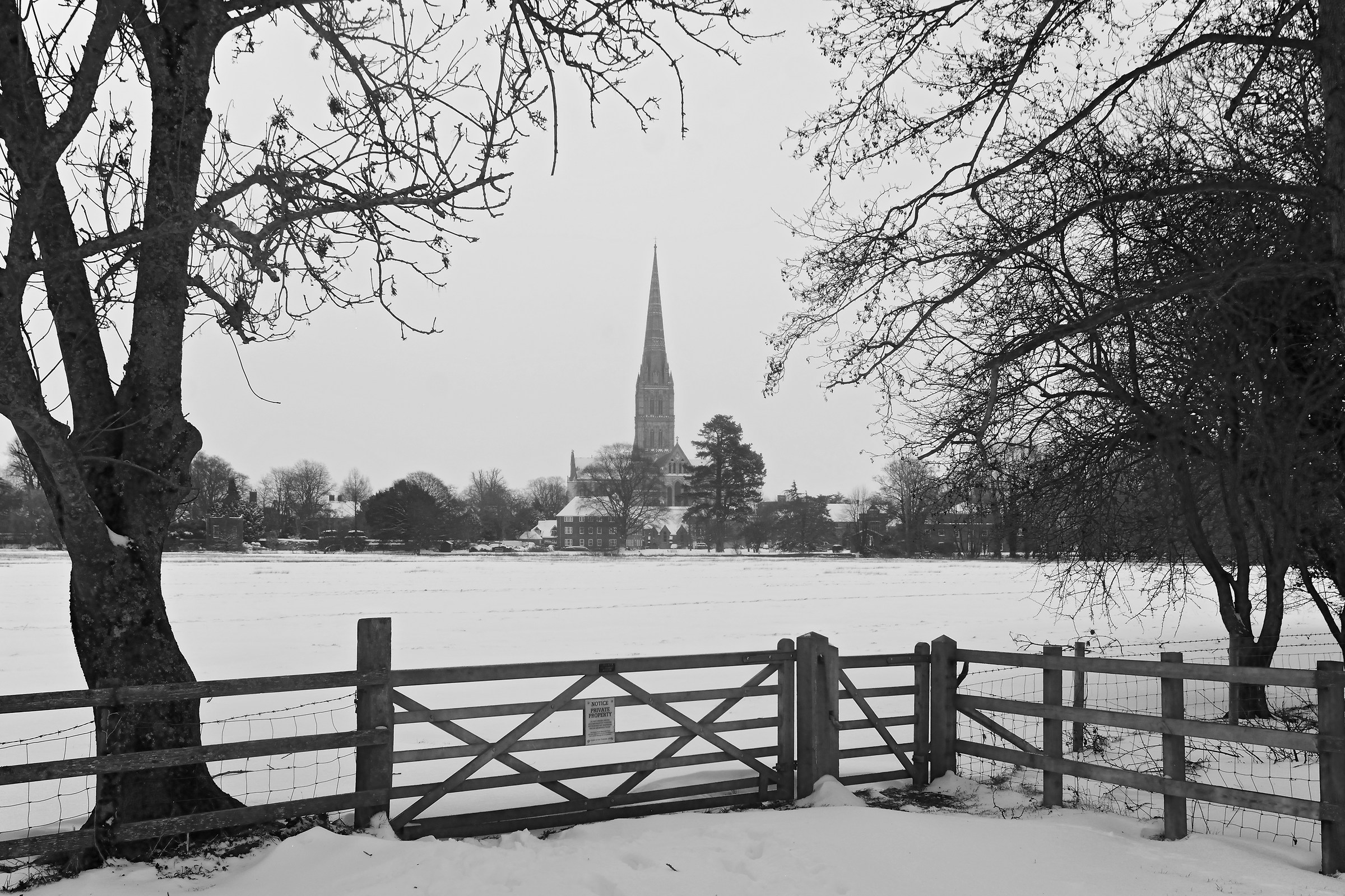 La Siberia a Salisbury - Cattedrale sopra le Watermeadows