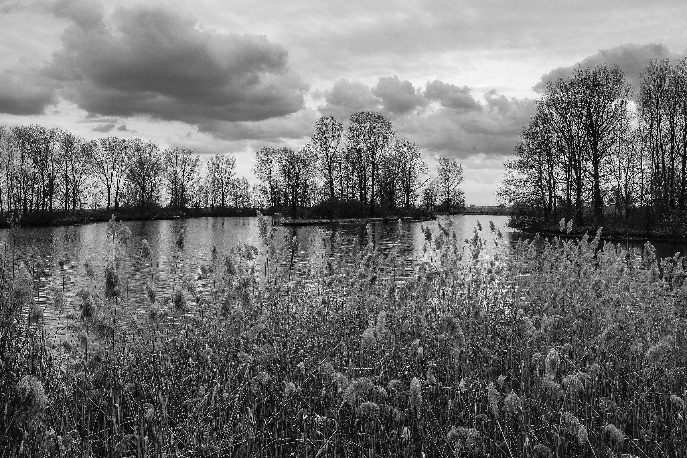 Castelbeltrame Oasis