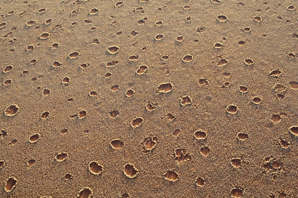Fairy Circle in Namibia