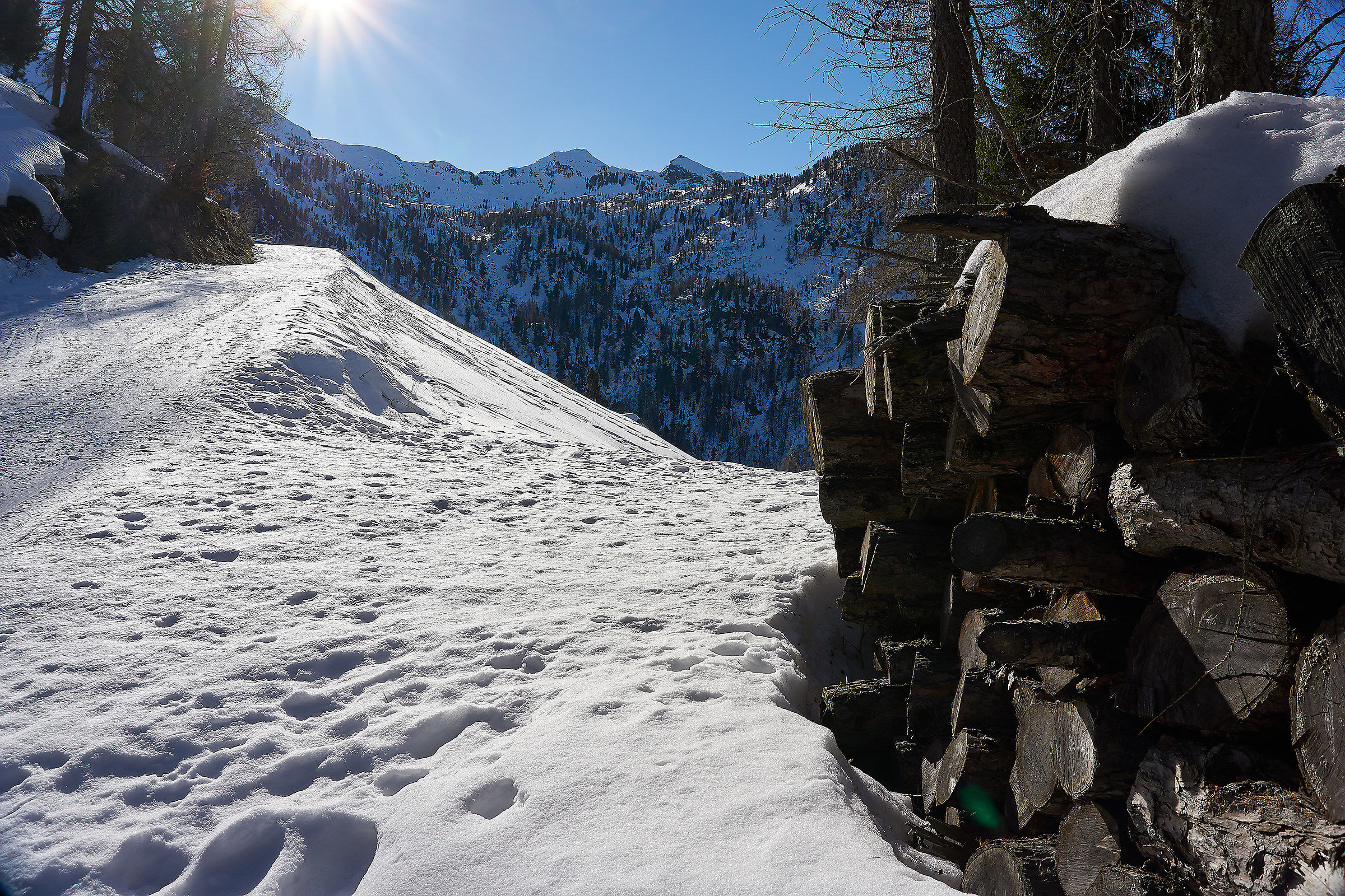 Ascent to Monte Leretta