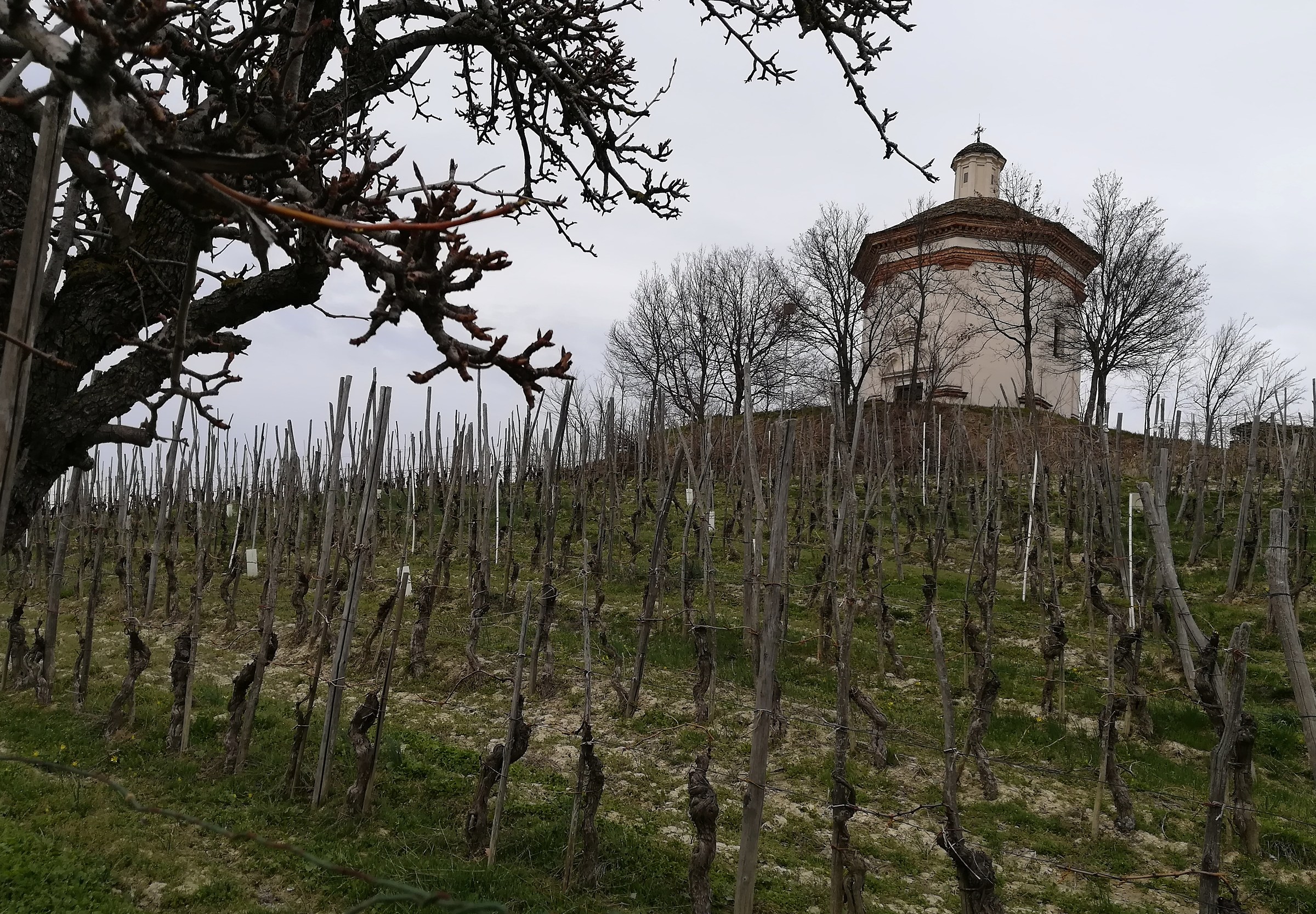 cappella san fereolo1