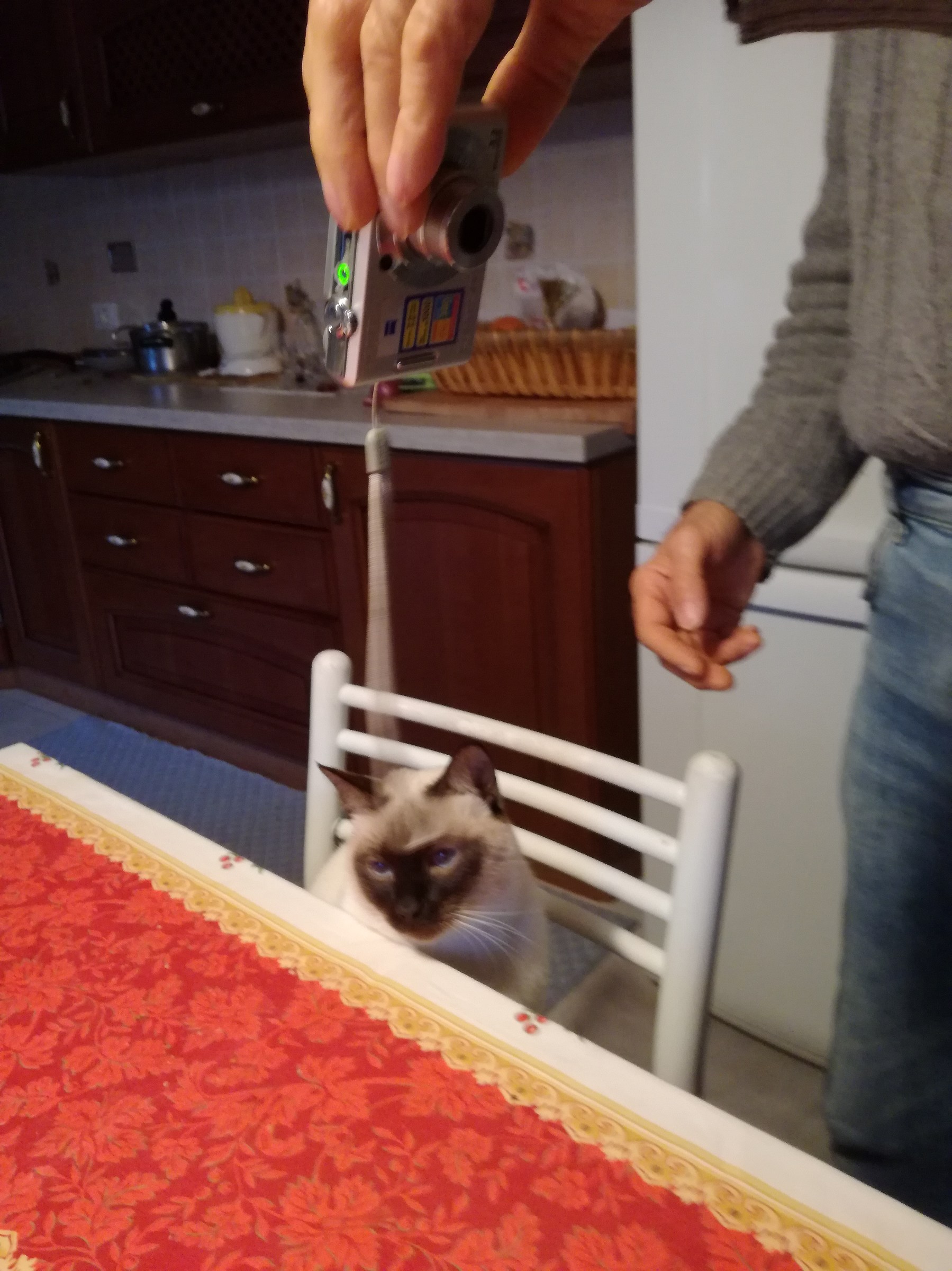 Caesar who challenges the game.