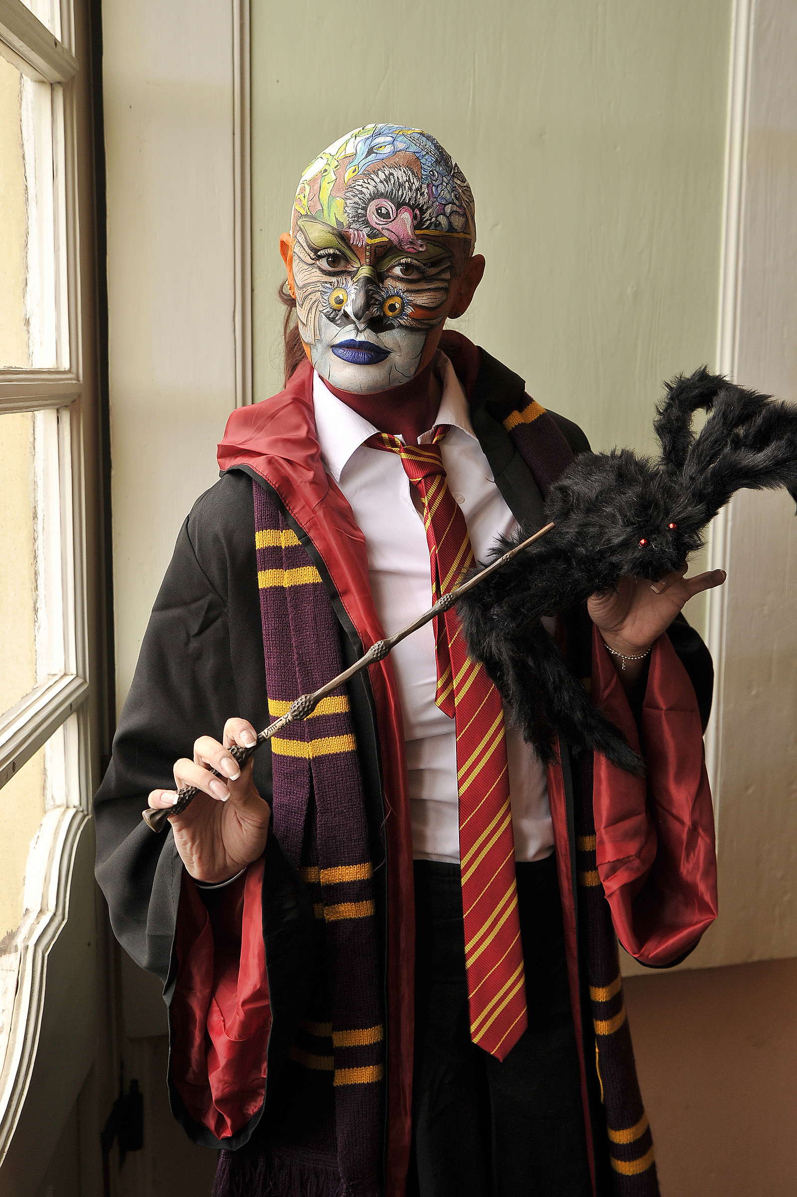 Harry potter face painting