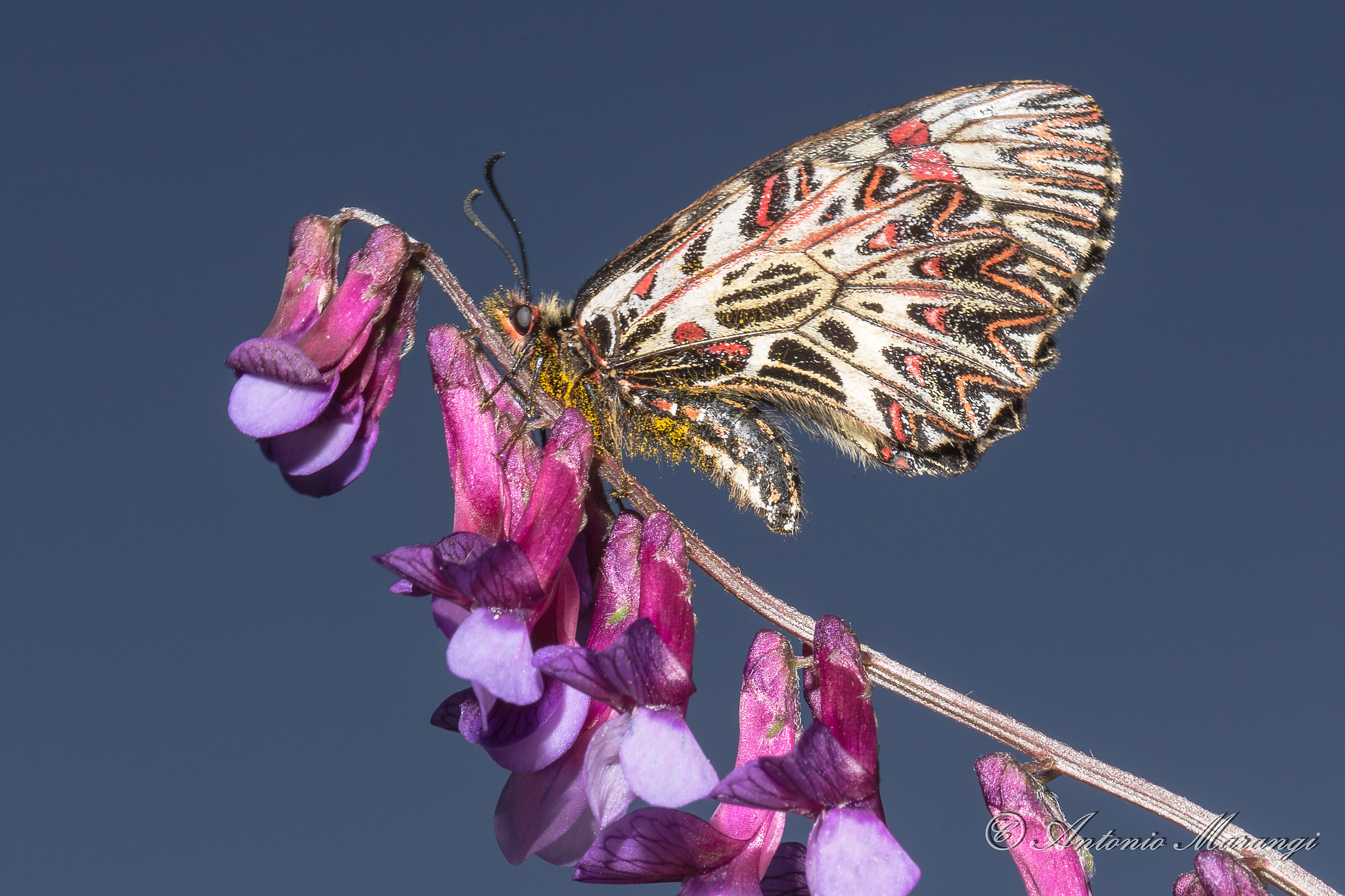 as I did I do not know