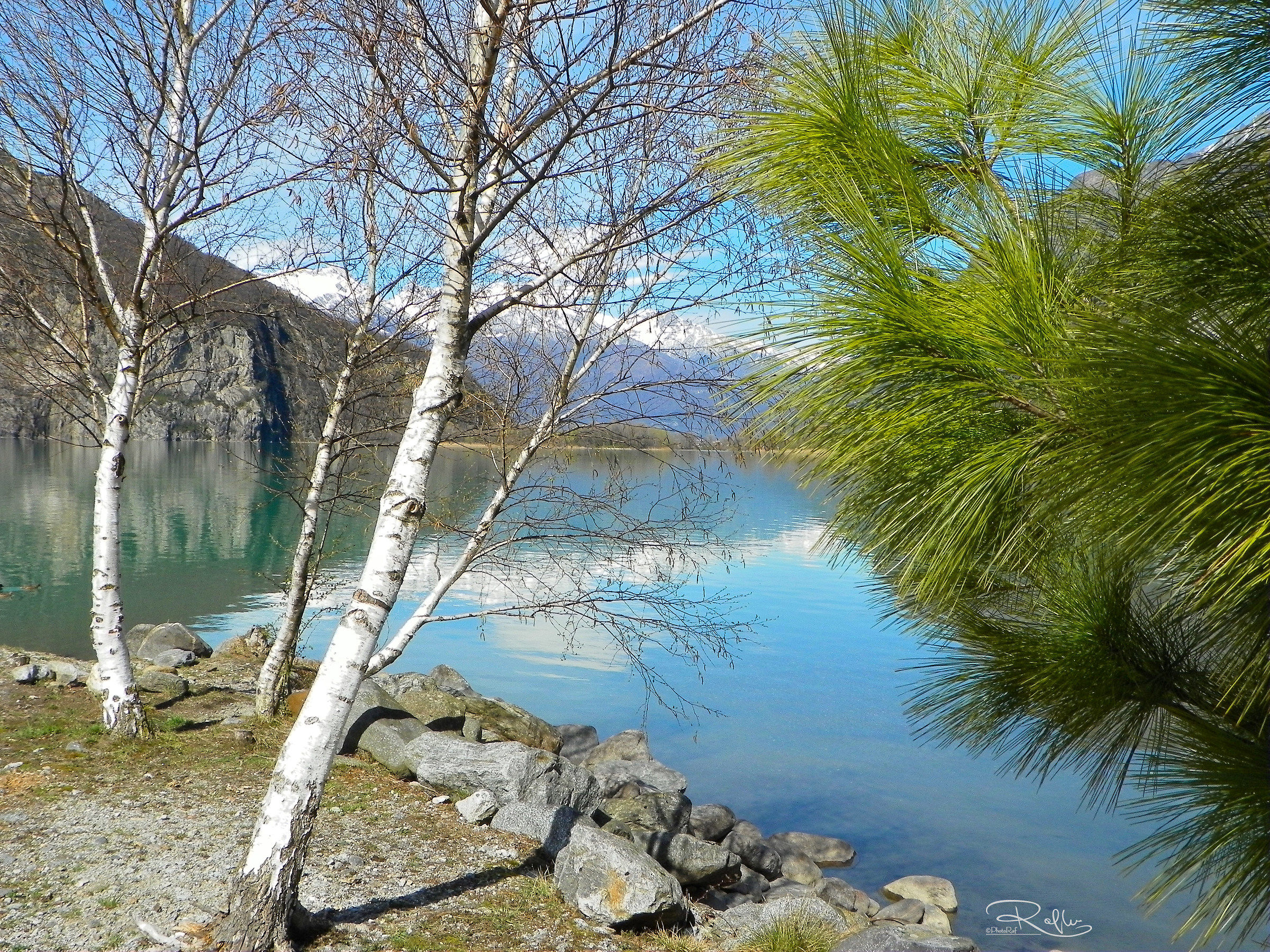Lago di Mezzola