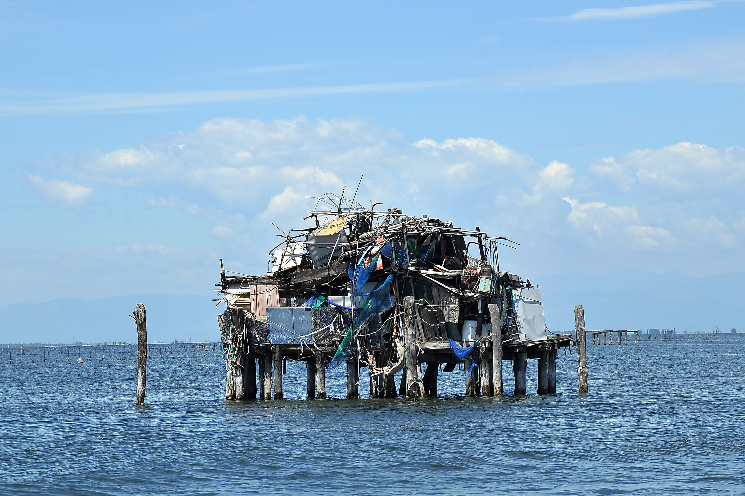 Now I'm looking for something .....