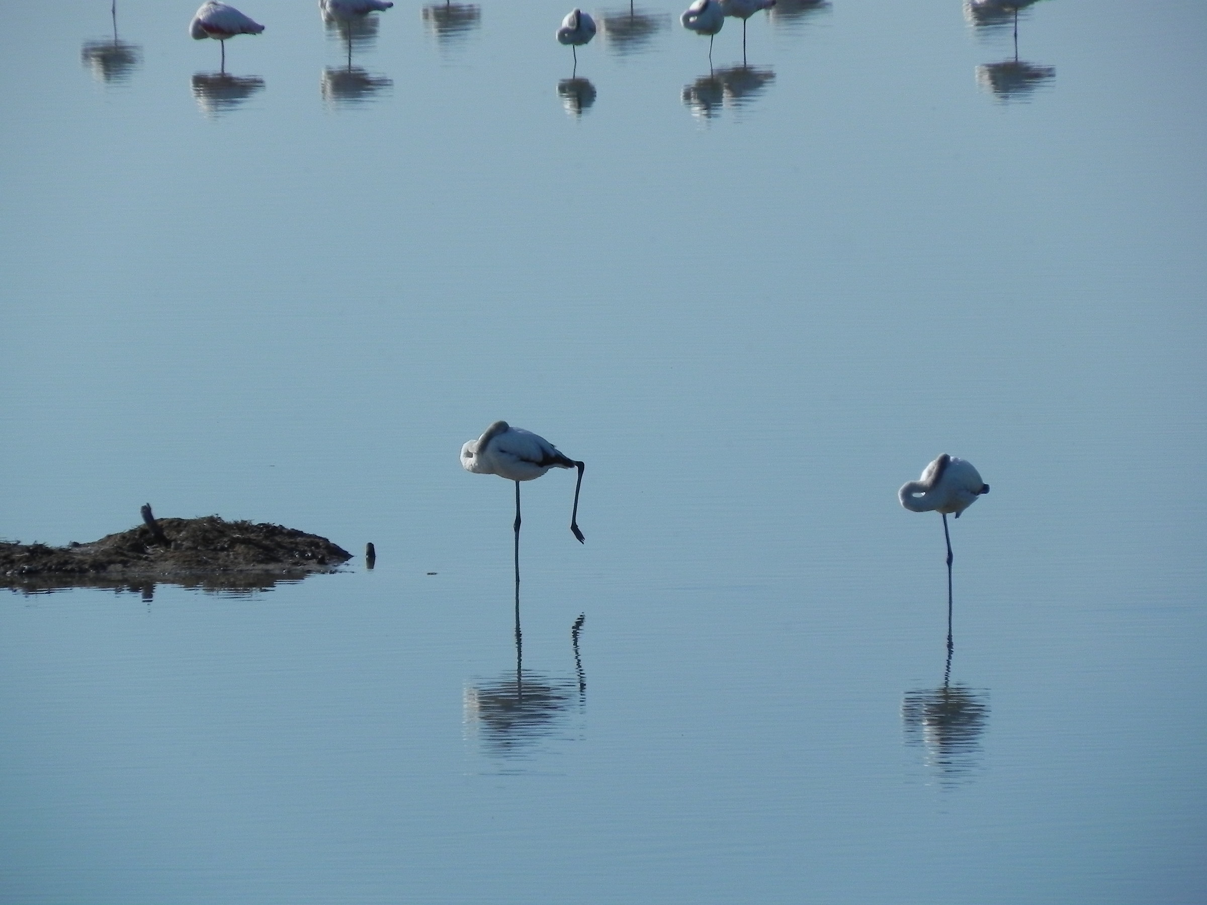 When you still want to sleep a little bit