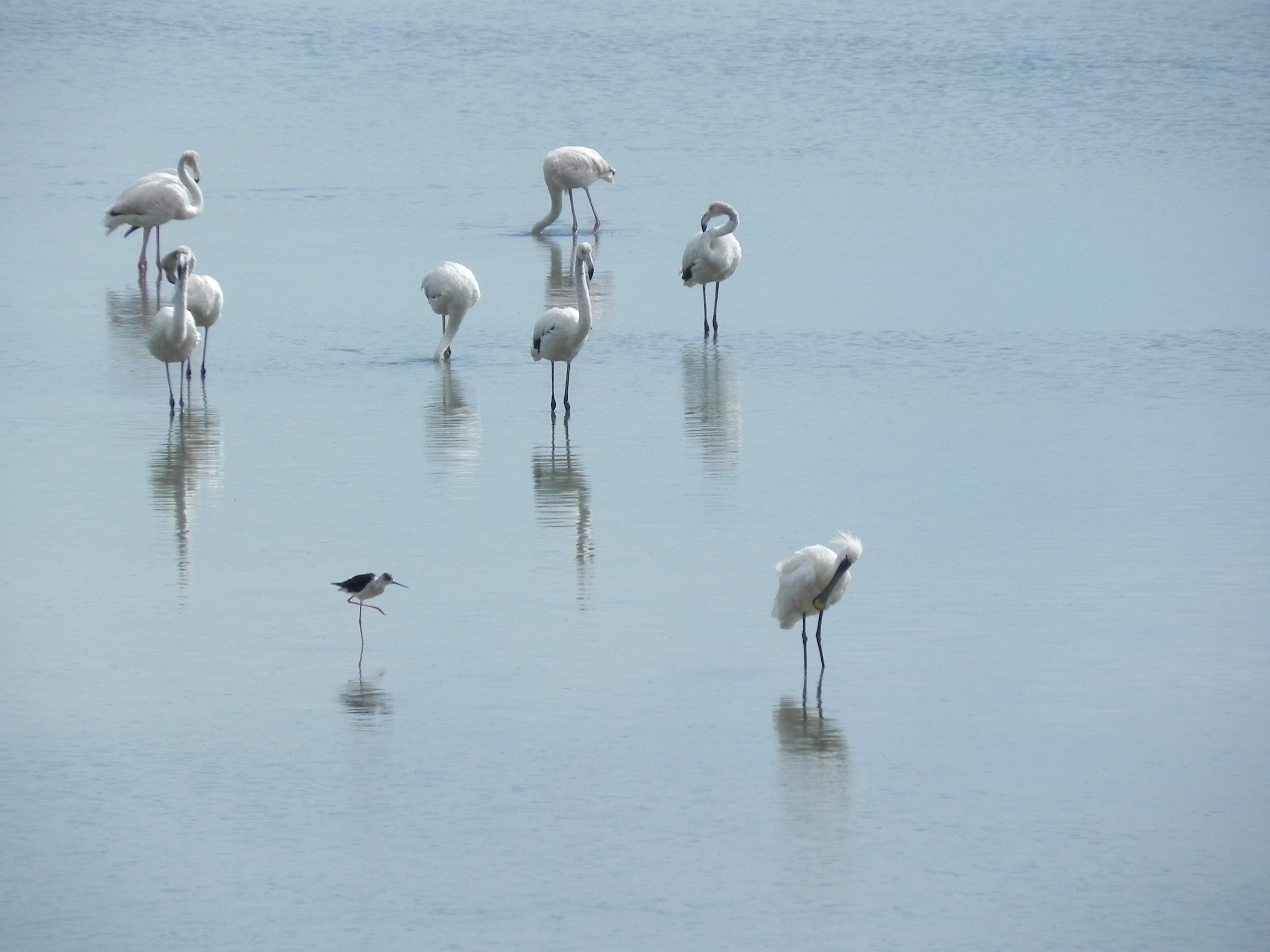 Who performs, who looks and who is ashamed