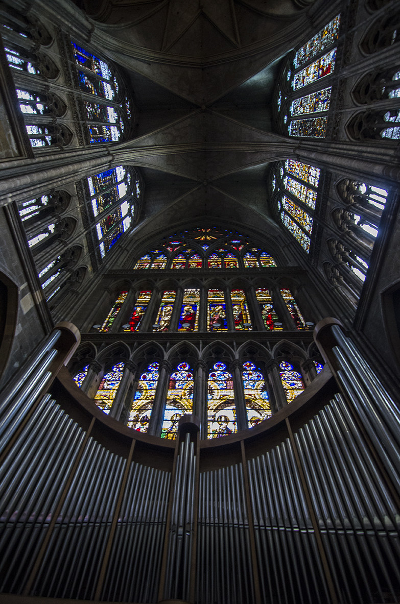 L'orgue de la cathédrale Saint-Étienne, Me...