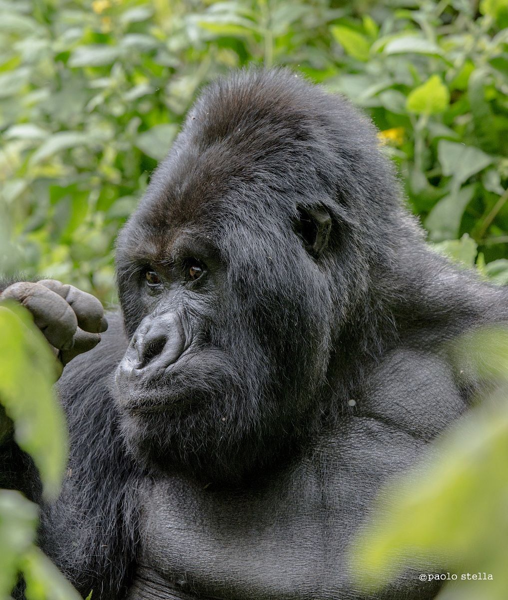 .. Little .. so .....