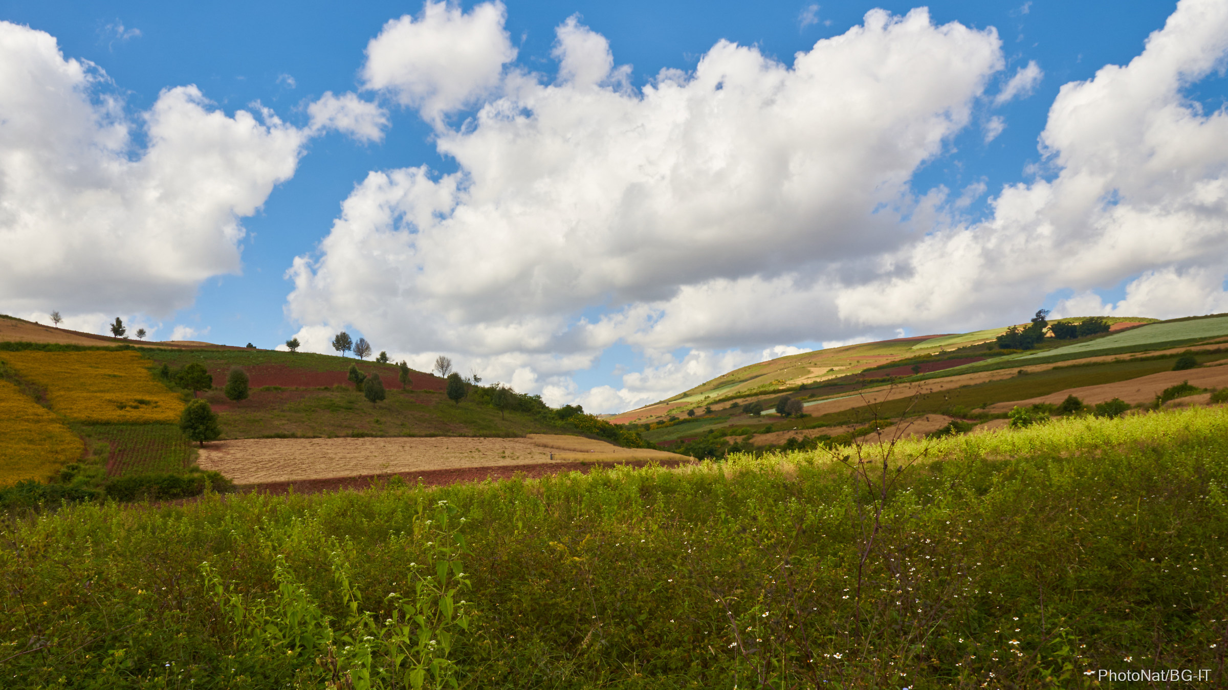 Rural landscape