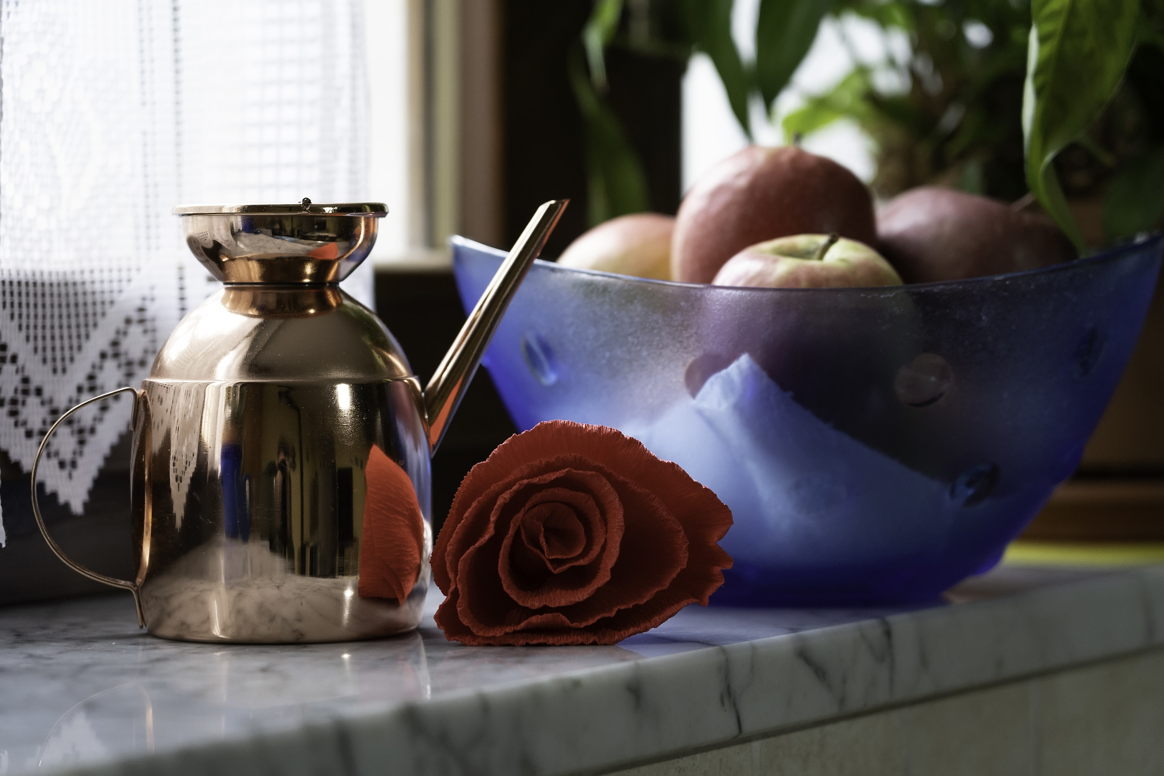 Sony A7iii con 24-105 F4 G Sony a 2500 iso