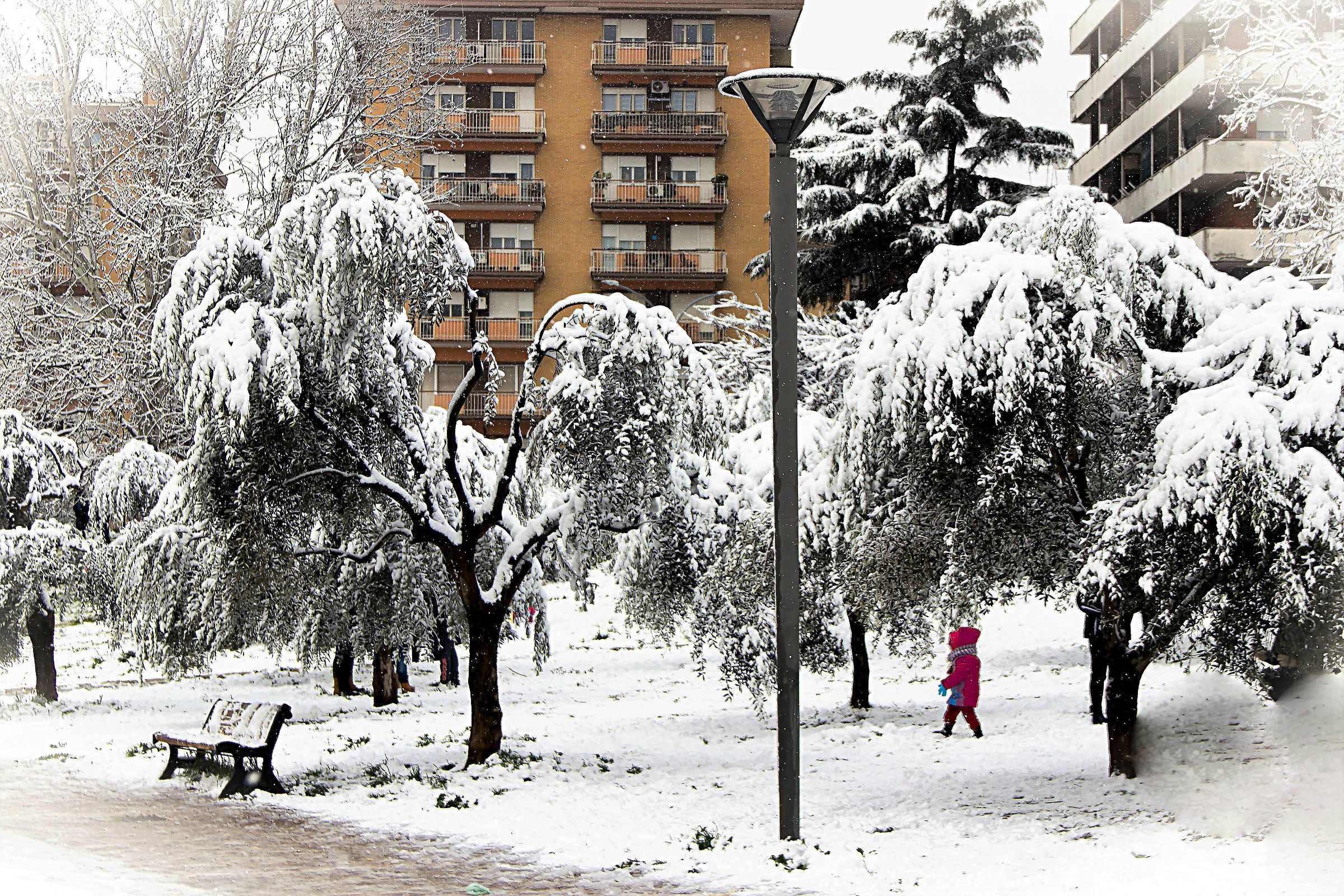 first day of snow, Rome 2018