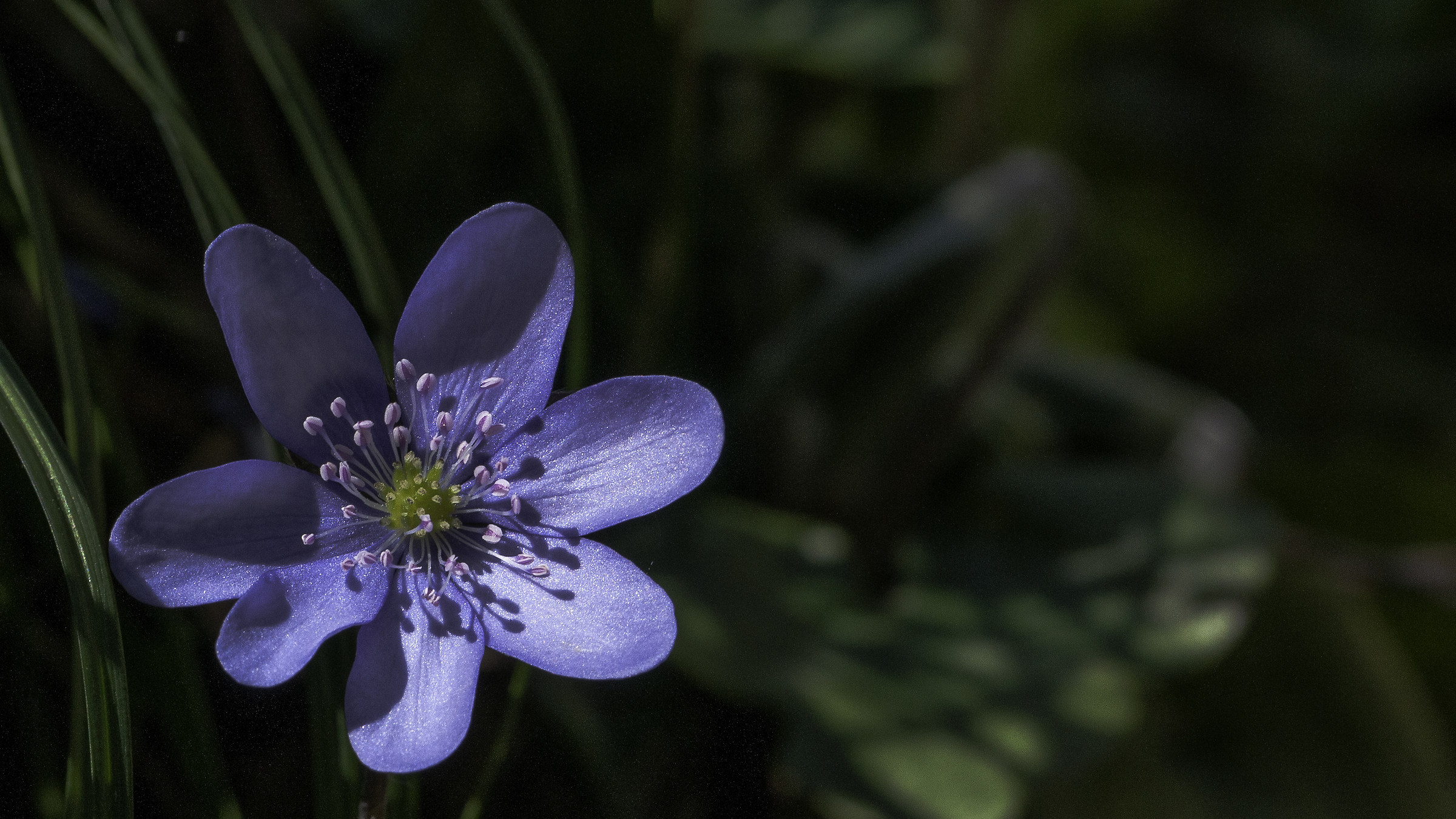 ... spring, finally!