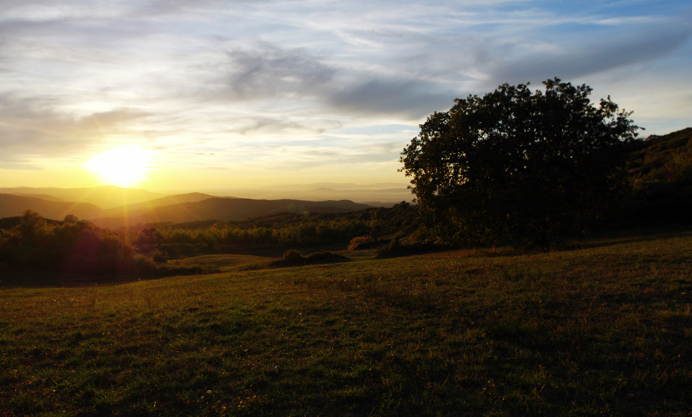 The sweetness of the sunset