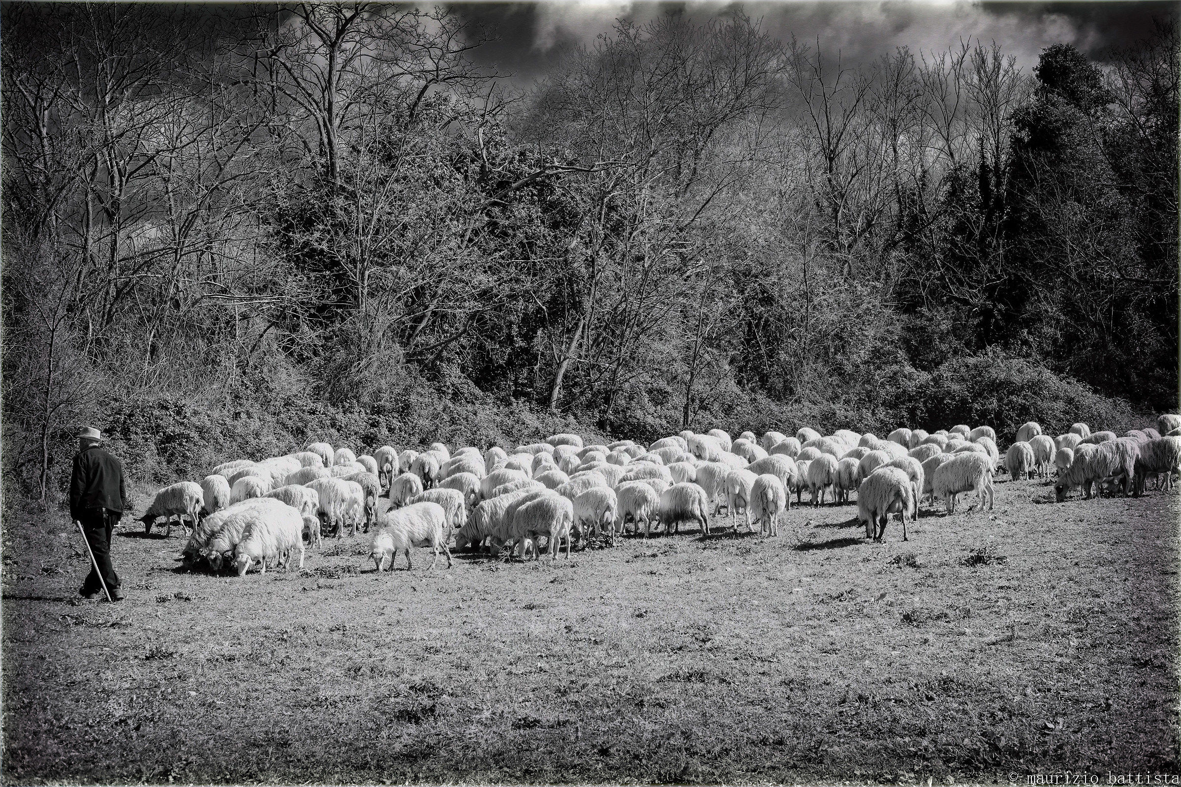 L'immobilità del tempo